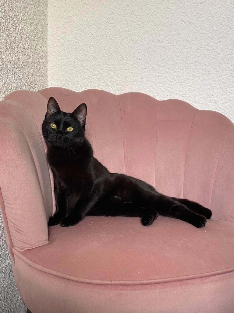 Trixie - Rue de la Priola, Le Touvet