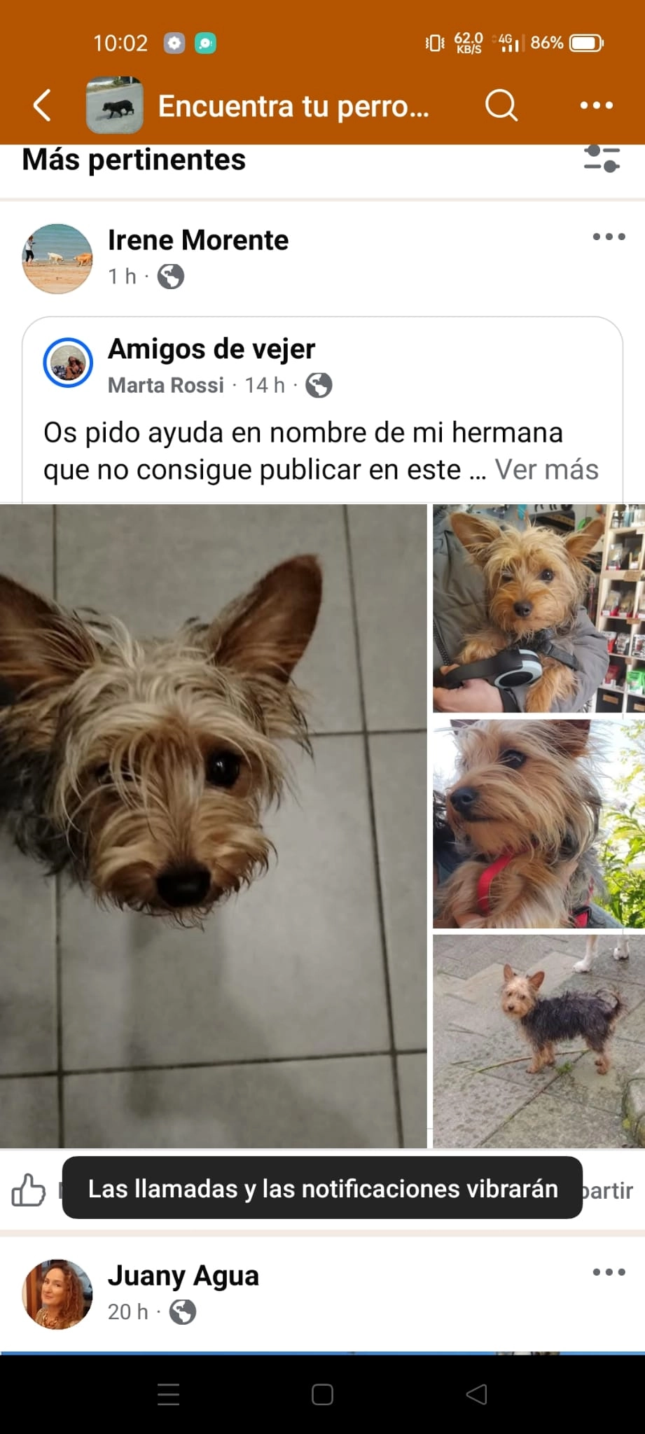 Maripepa  - Carretera De Vejer De La Frontera A Barbate, Vejer de la Frontera