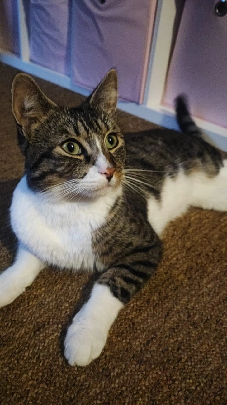 Coco - Entenkamp, Bremerhaven