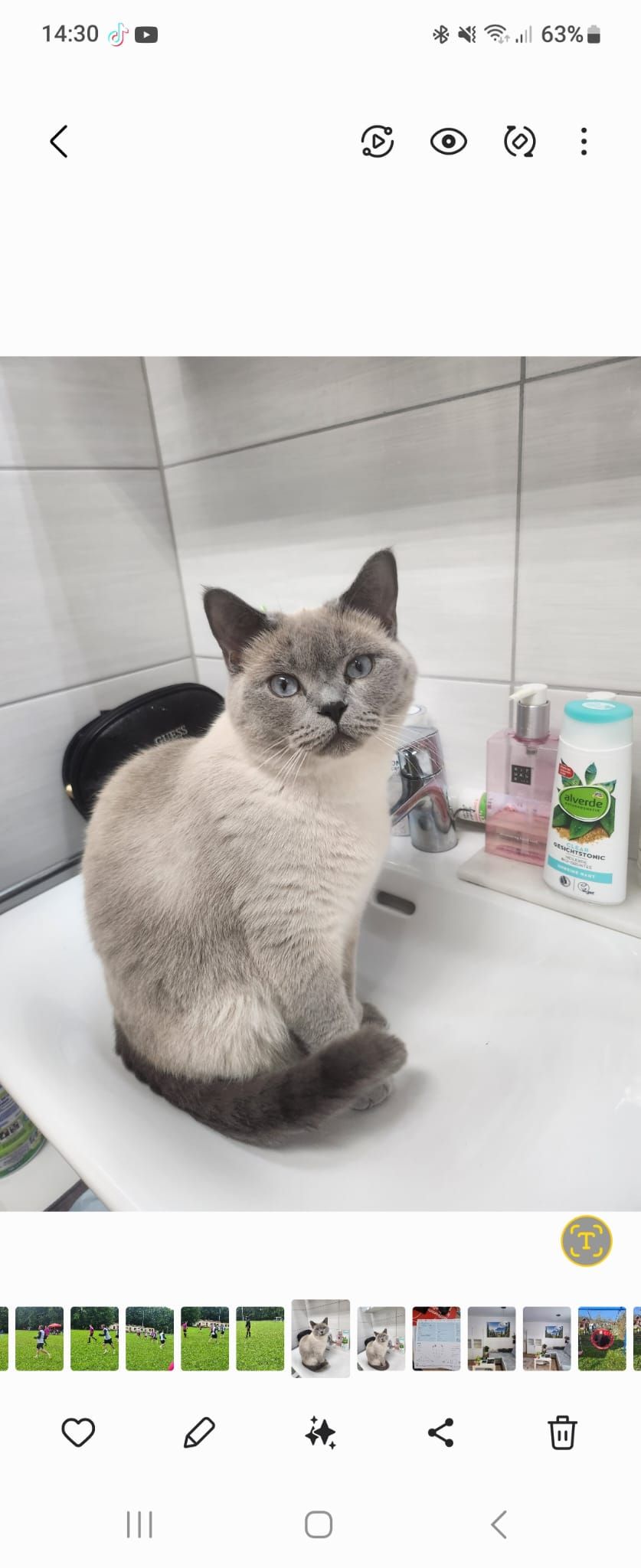 Mathilda - Doktor-Otto-Höchtl-Straße, Straubing