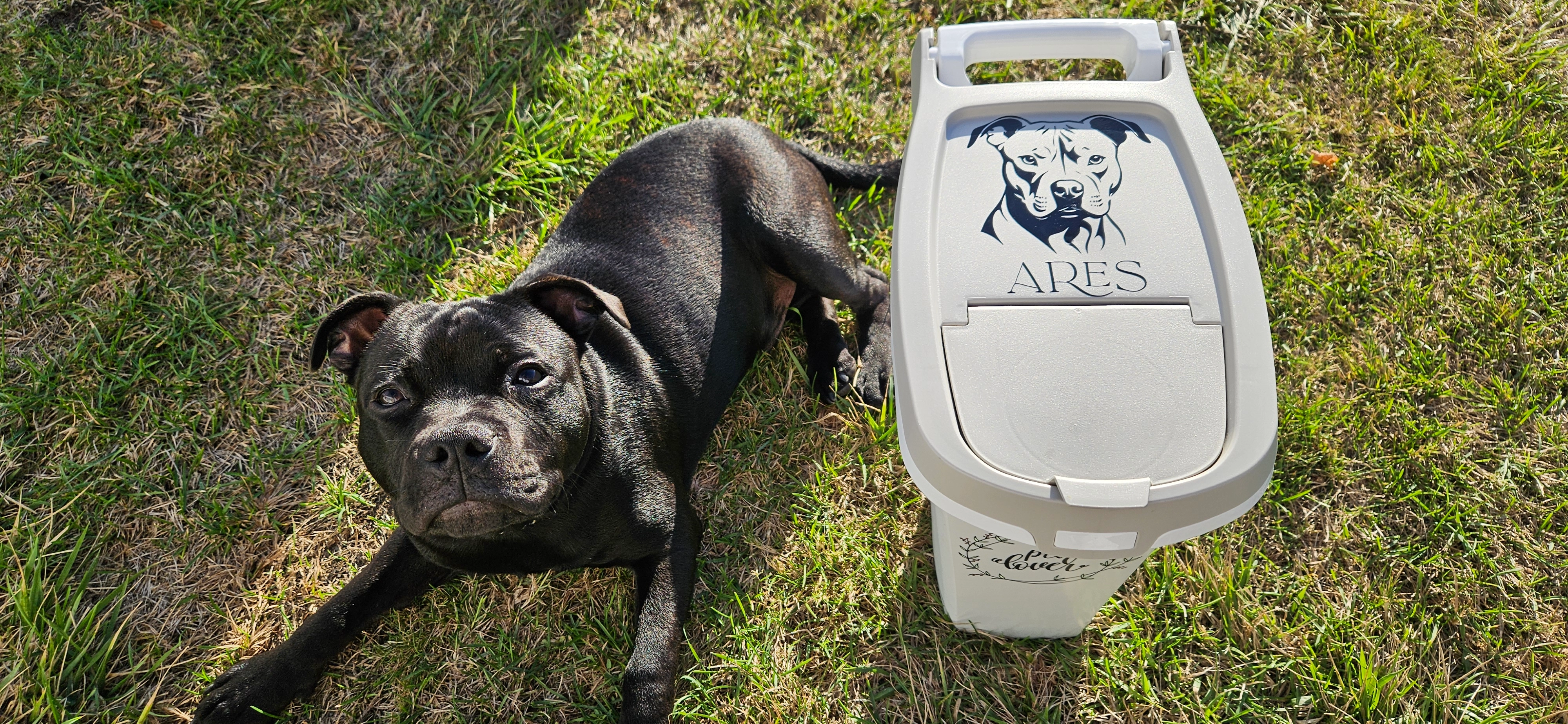 ares - 17 Rue des Pavillons, Agen