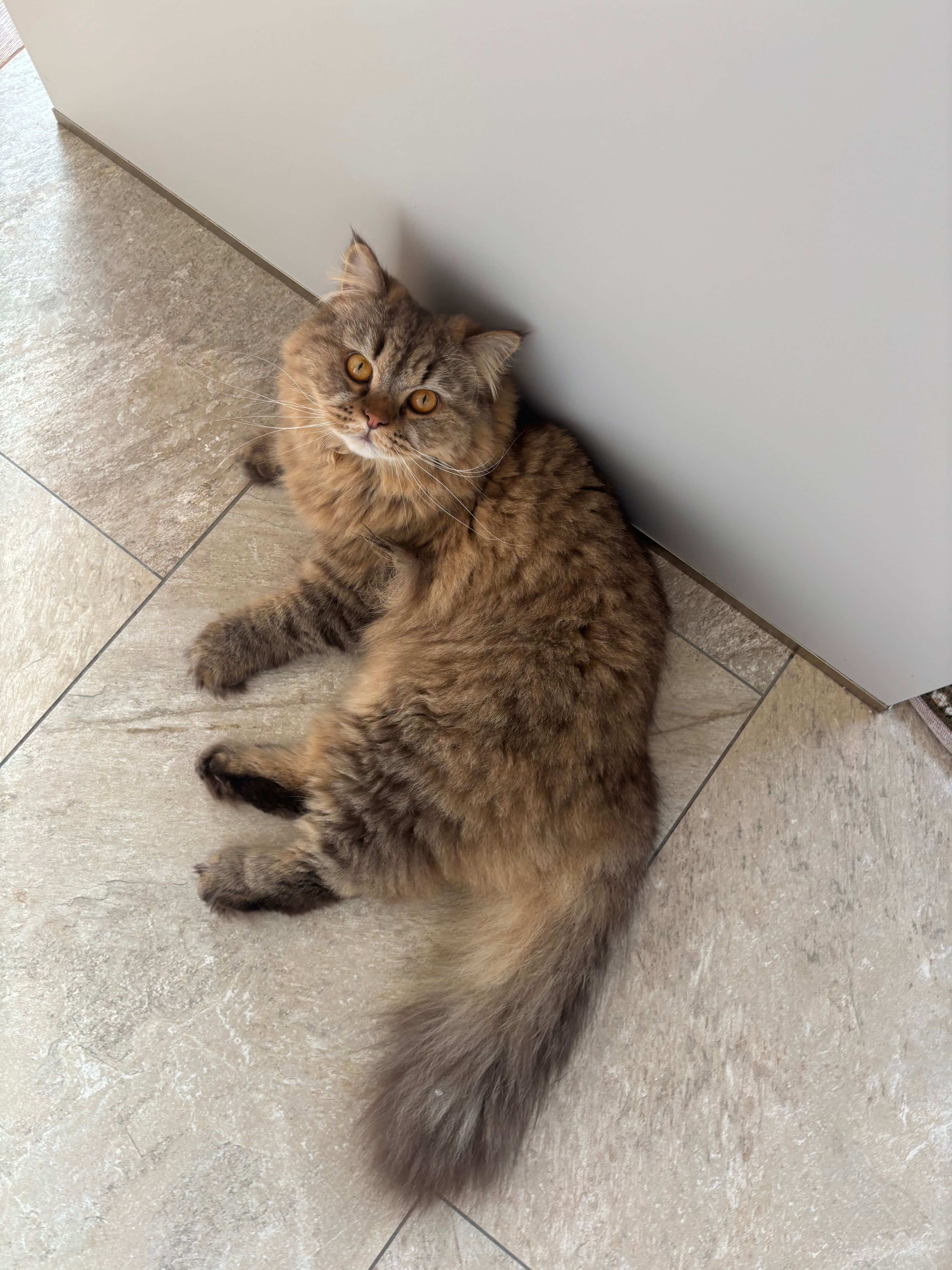 Michael - 1 Am Haff, Luerenzweiler