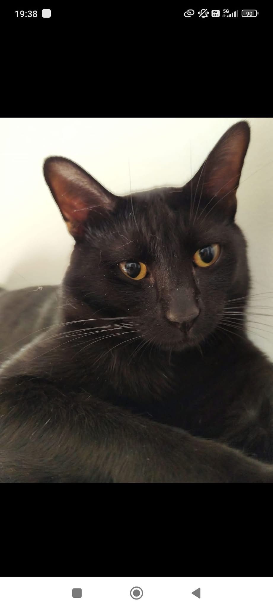 Salem - 5 Place Jean Jaurès, Carmaux