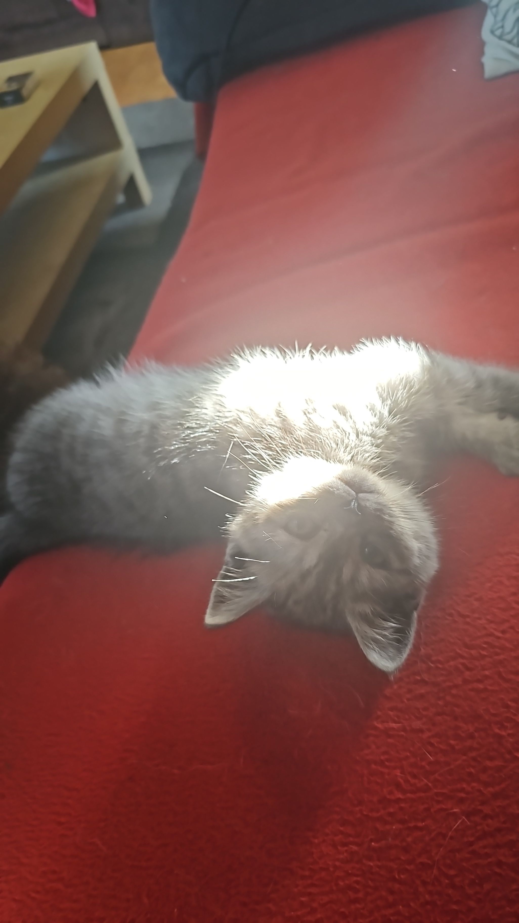 Ash - Hauptstraße, Vellberg