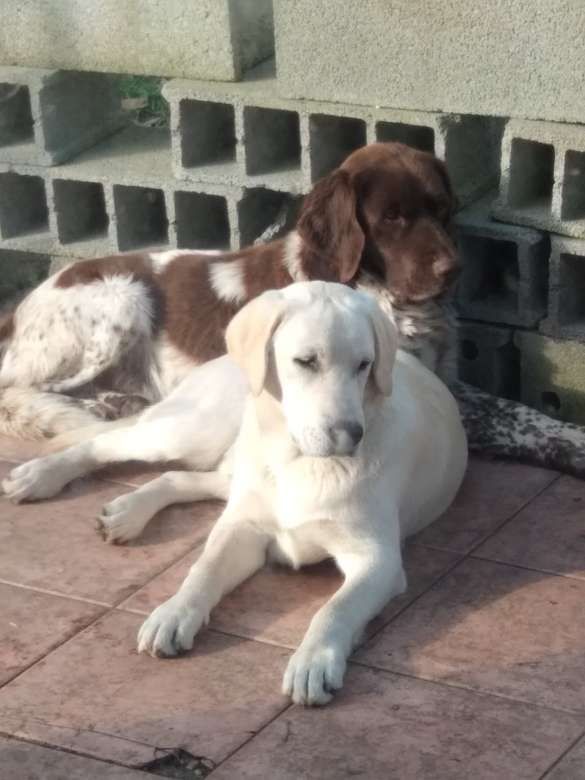 DAFFY et LASCAR - 2 Les Mottes, Angles