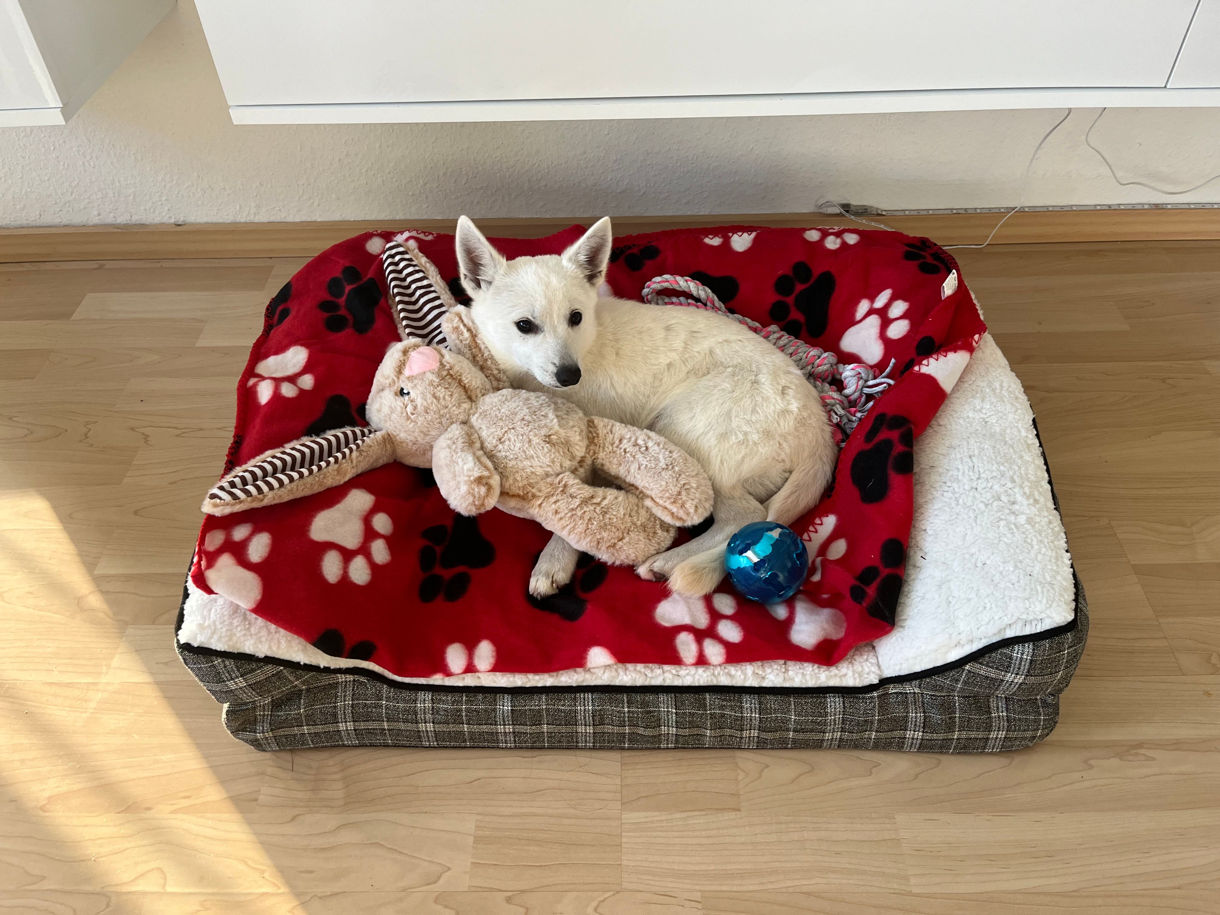 Blecky - Repeler Heide, Bottrop