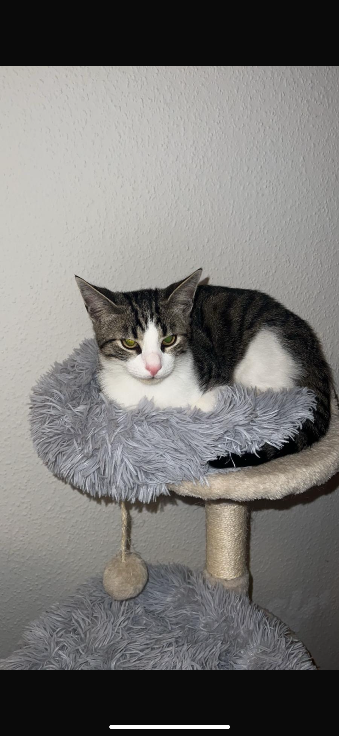 Miles - Neuer Weg, Wolfenbüttel