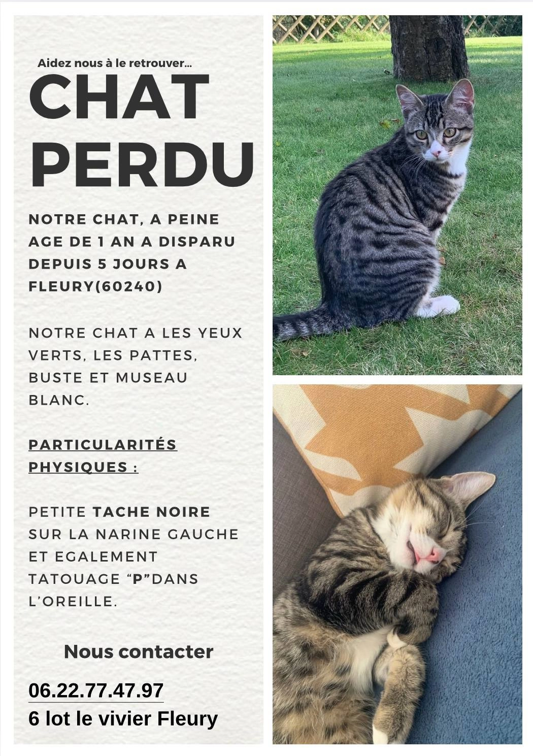 Ziggy - 6 Lotissement Le Vivier, Fleury