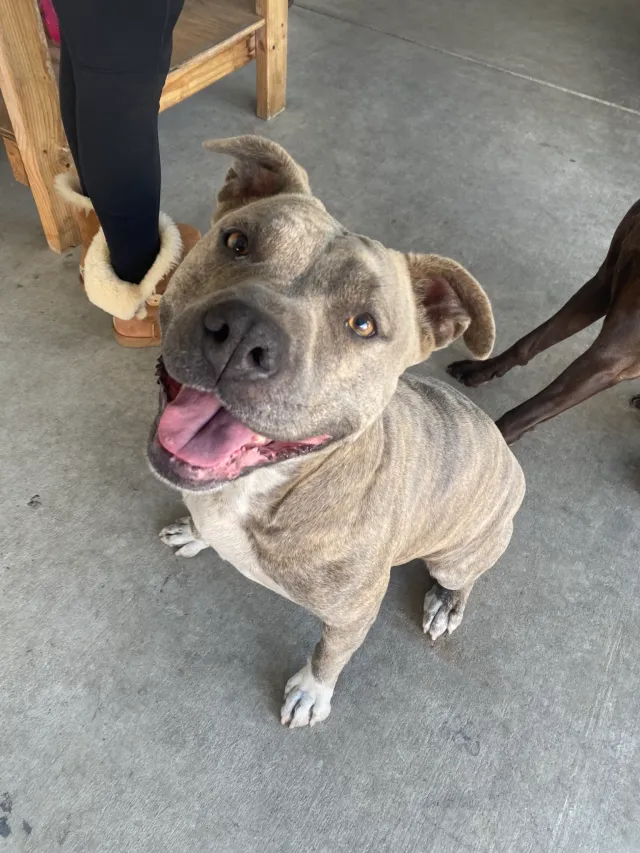 Kail - Amador St, Vallejo