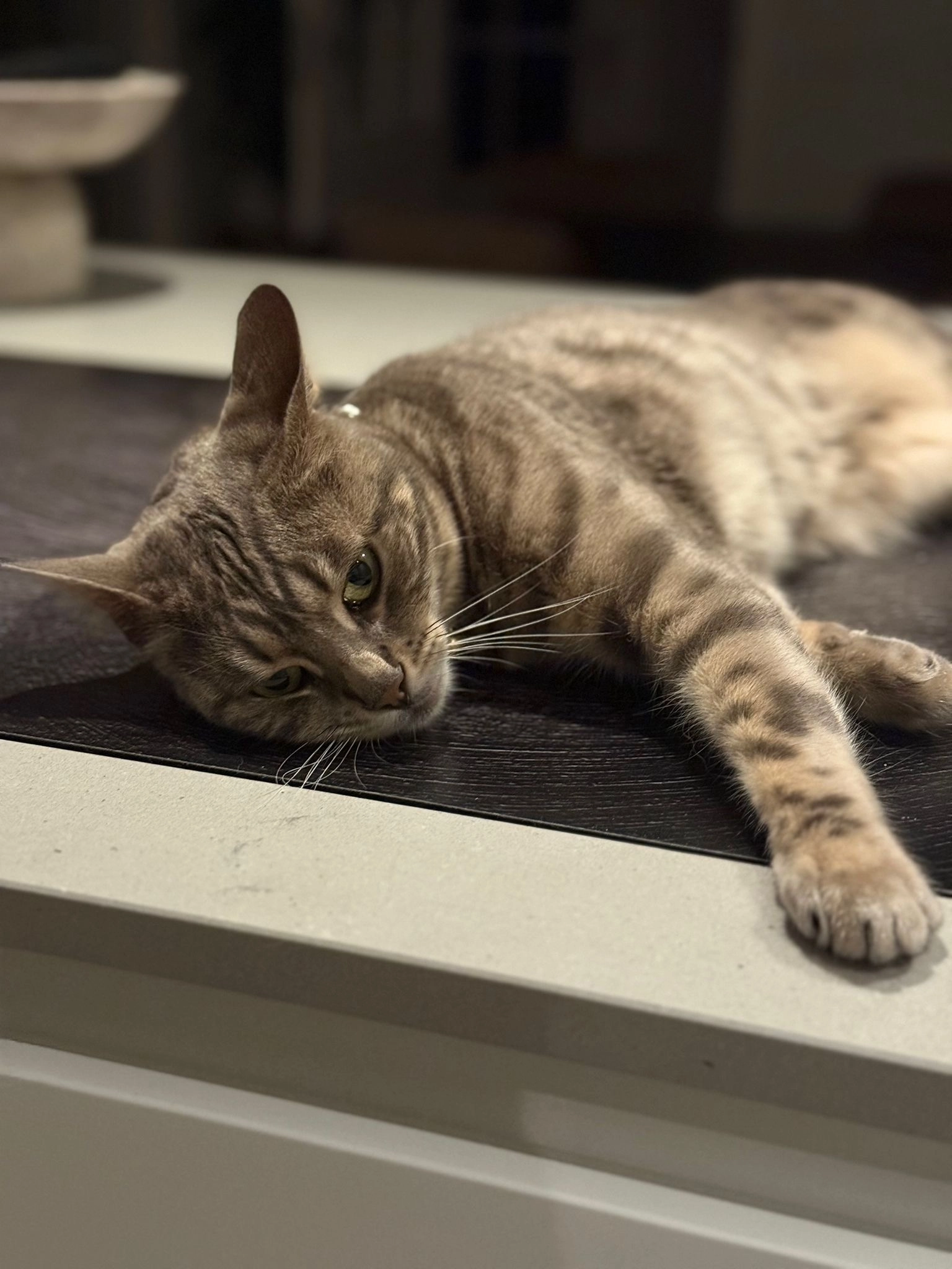 Kiwi - Pastoor Slosserstraat, Coevorden