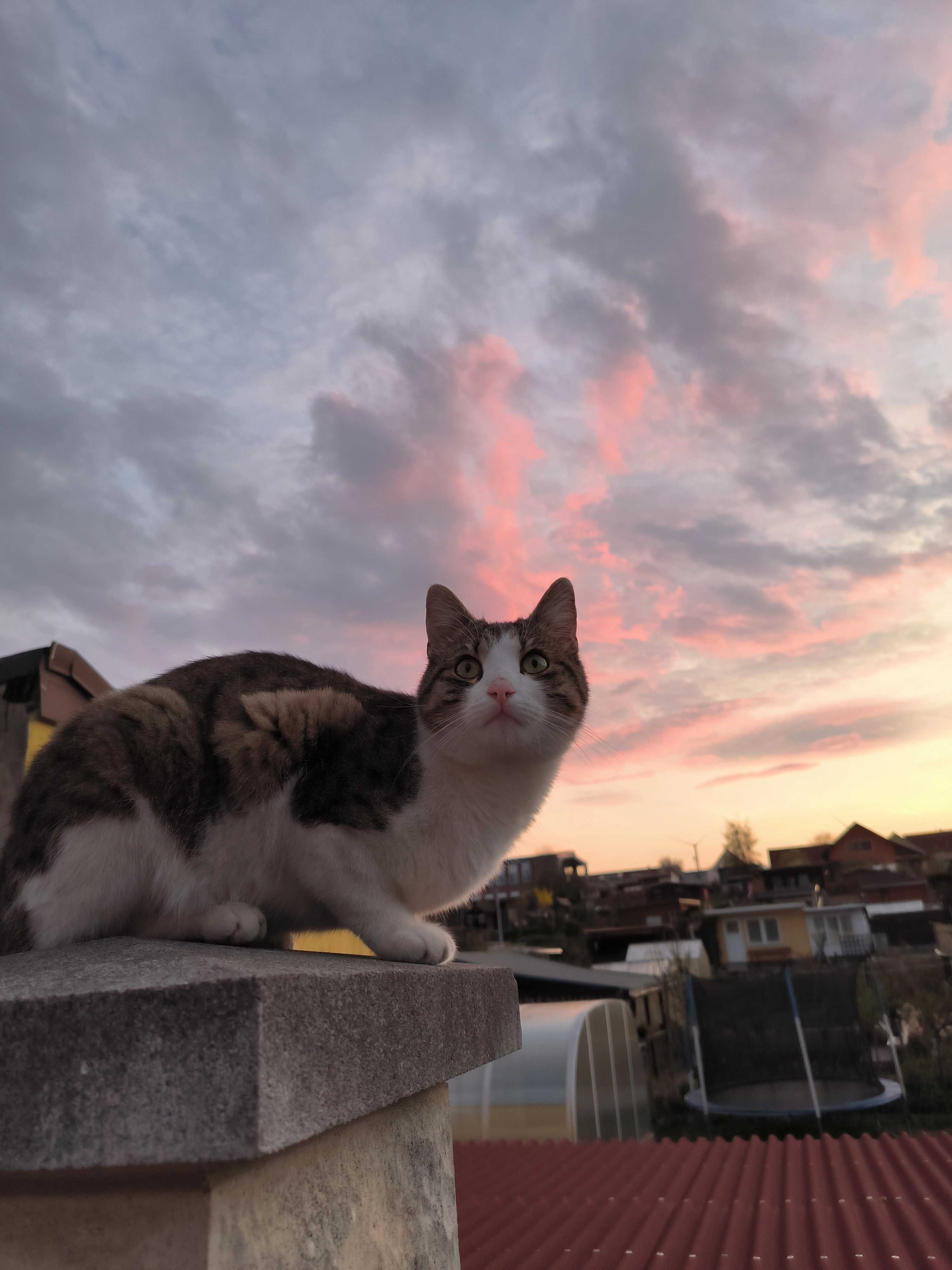 Freddy - Hauptstraße 194, Gersdorf