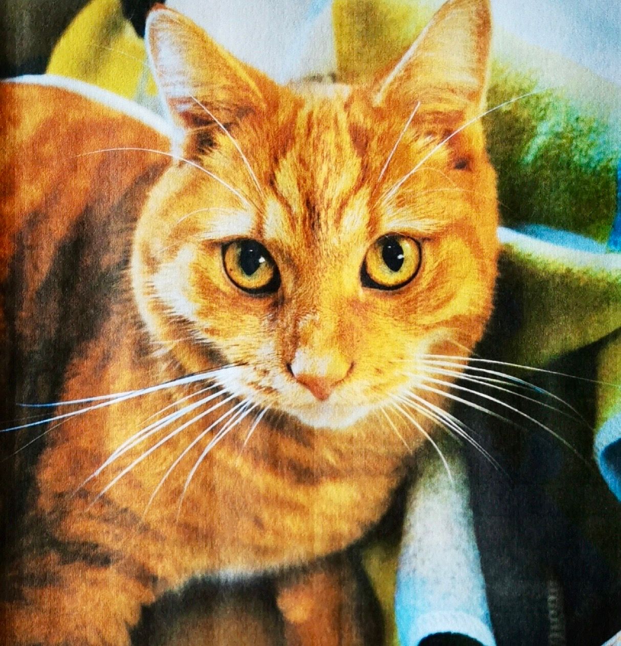 Ivo - Lindemannstraße, Tutzing