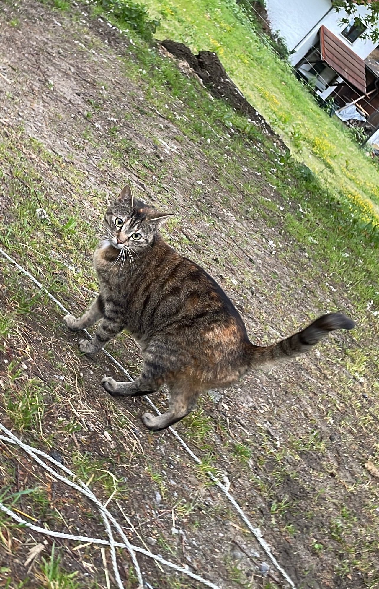 Tinky - Klausenweg, Saldenburg