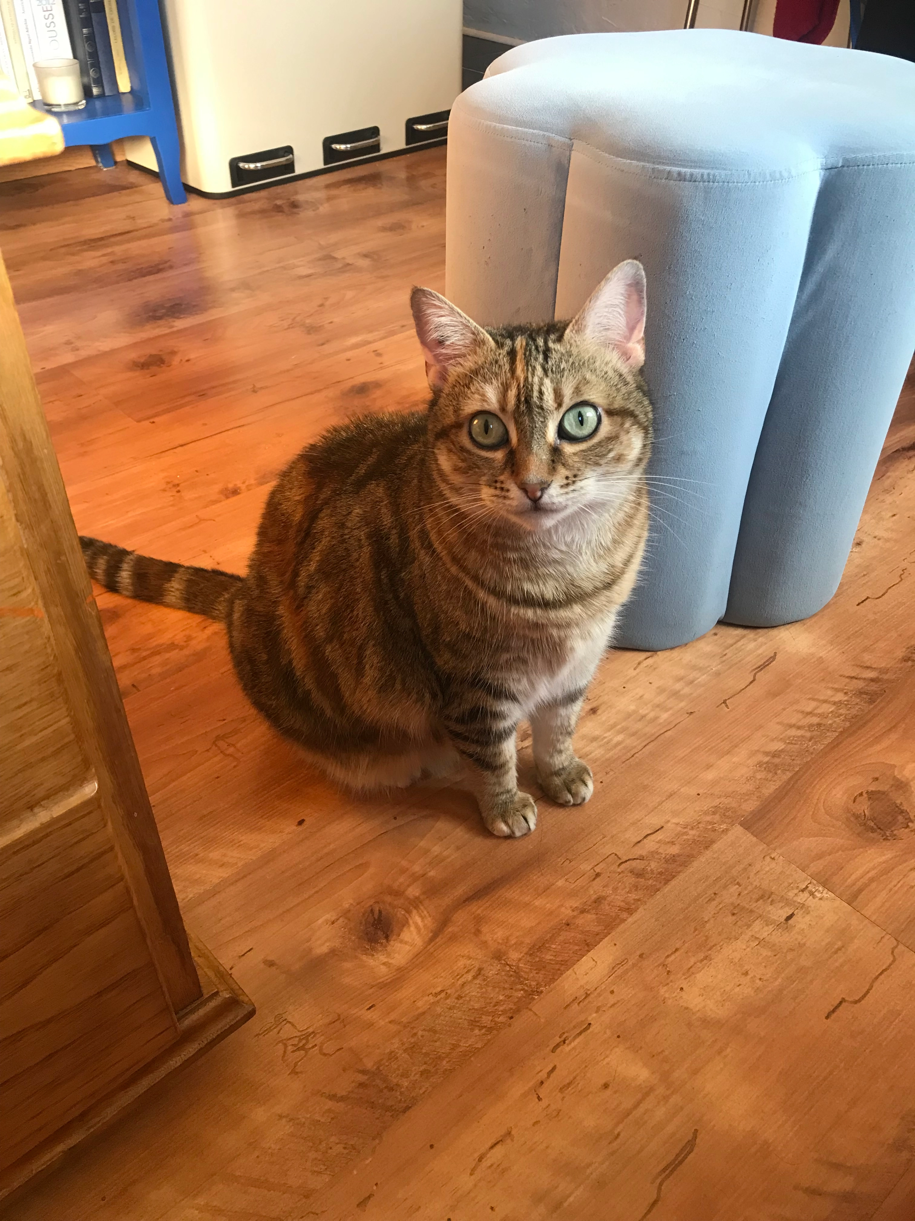 Fantômette - Rue Pierre Marzin, Trédrez-Locquémeau