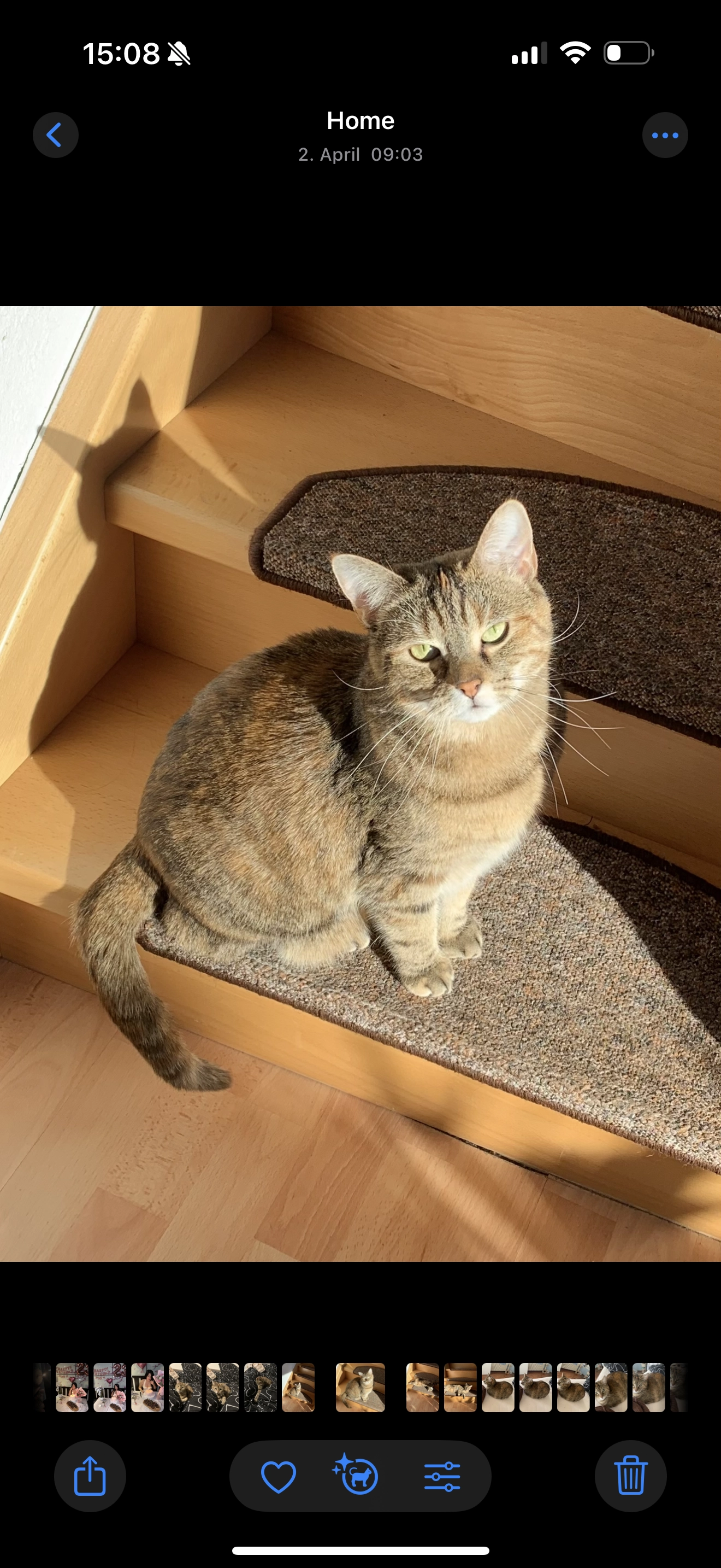 Bun - Albrecht-Dürer-Weg, Leipzig