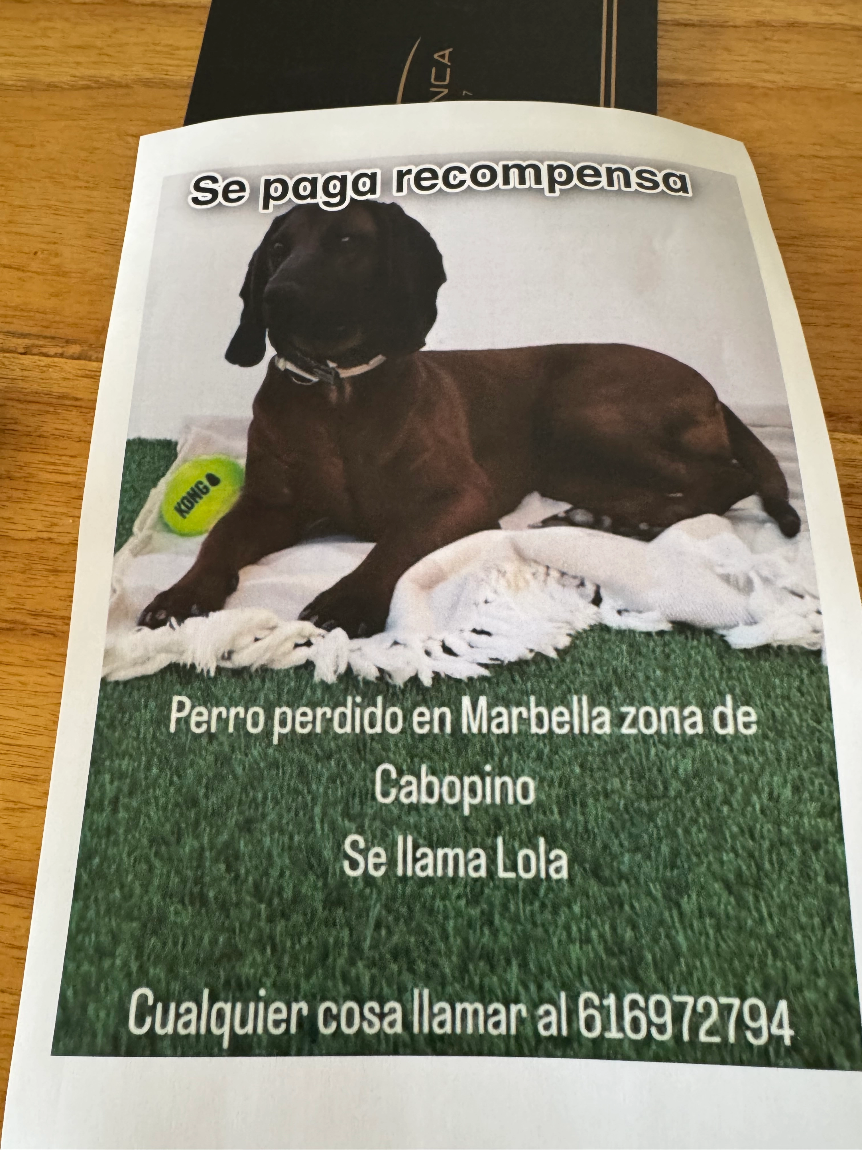 Lola - Calle Artola Golf, Marbella
