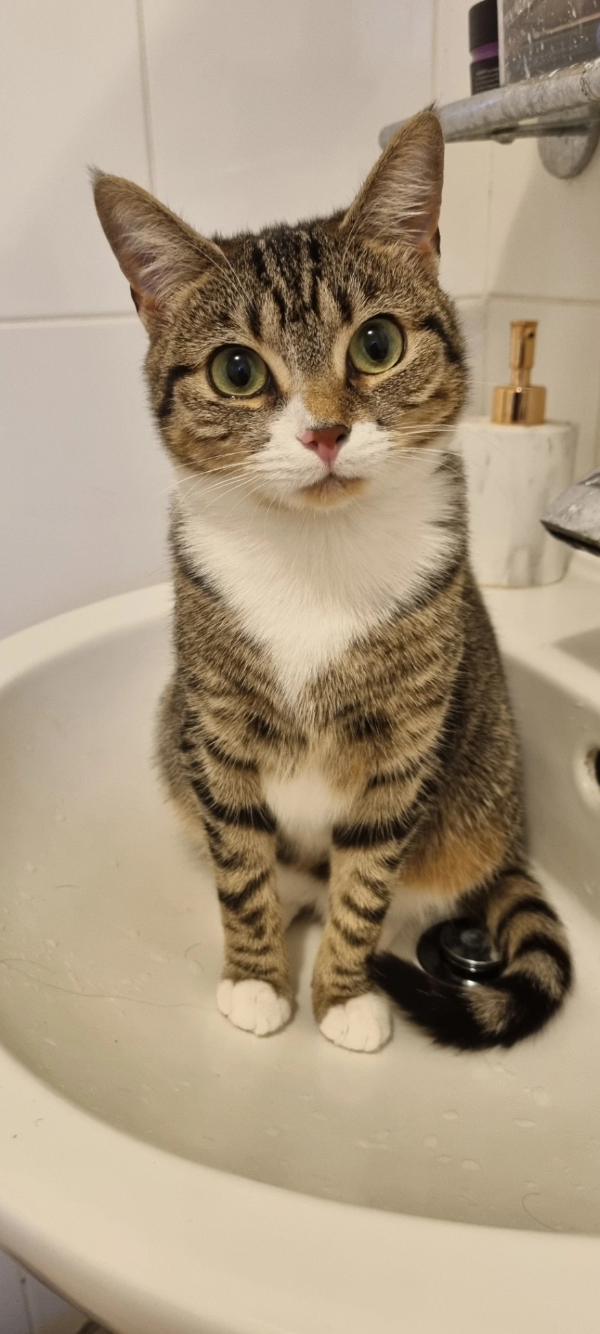 Damson - Kilner Way, Castleford