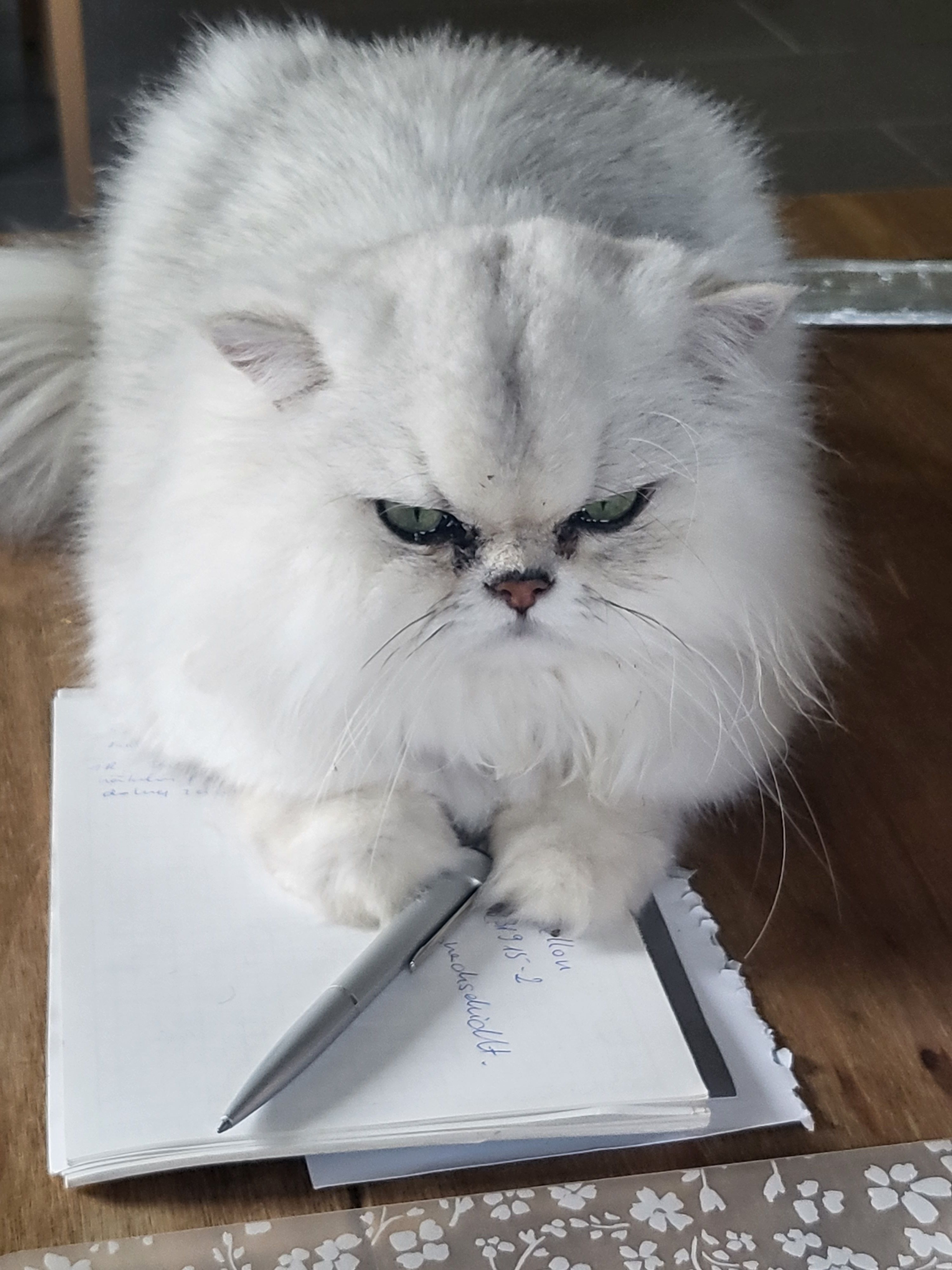 Oskar - Göttelfinger Straße, Seewald