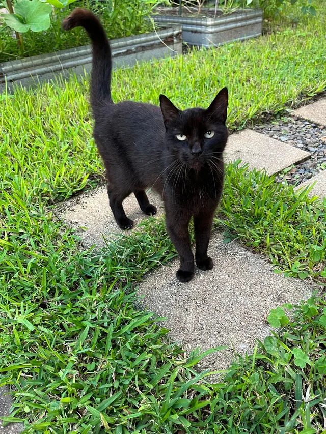 Itty Bitty - 3509 Ponce de Leon Blvd, Coral Gables