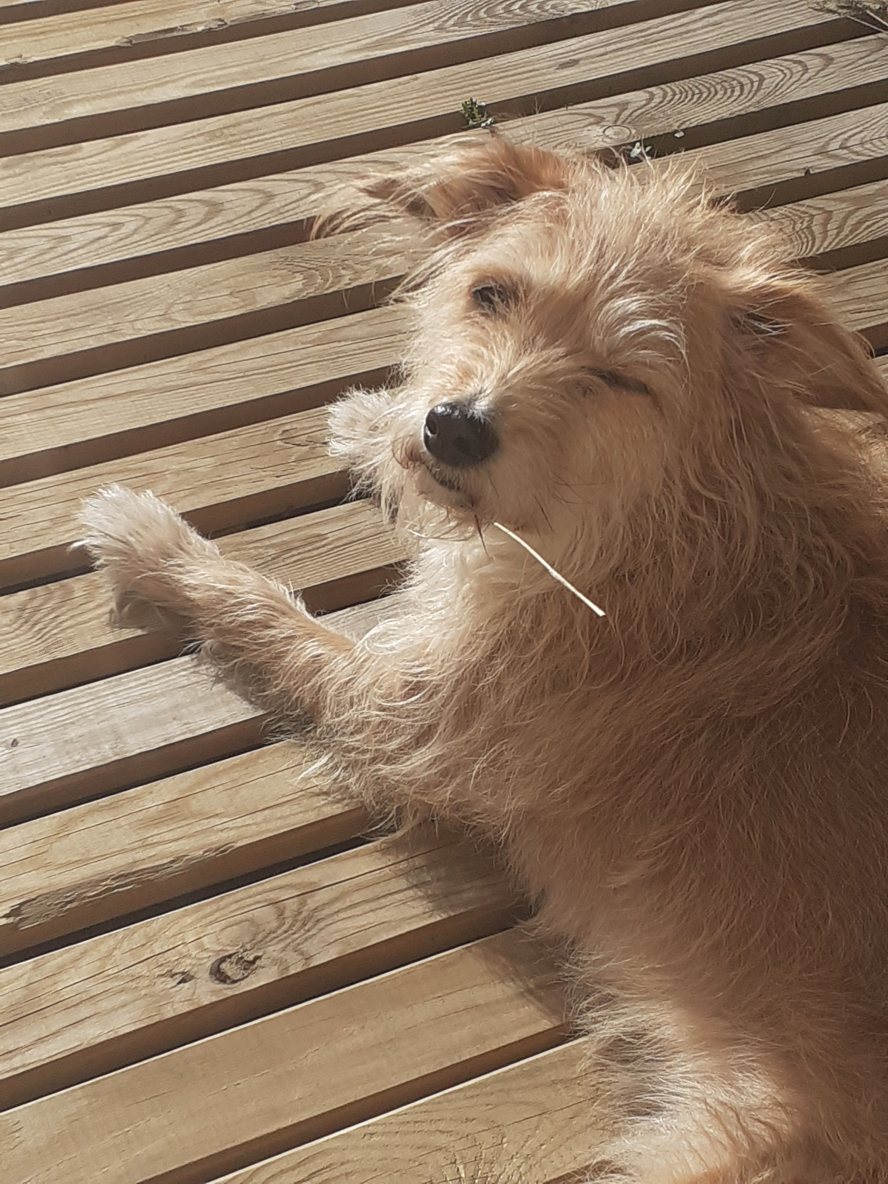 Julie - 18 Rue de la République, Yutz