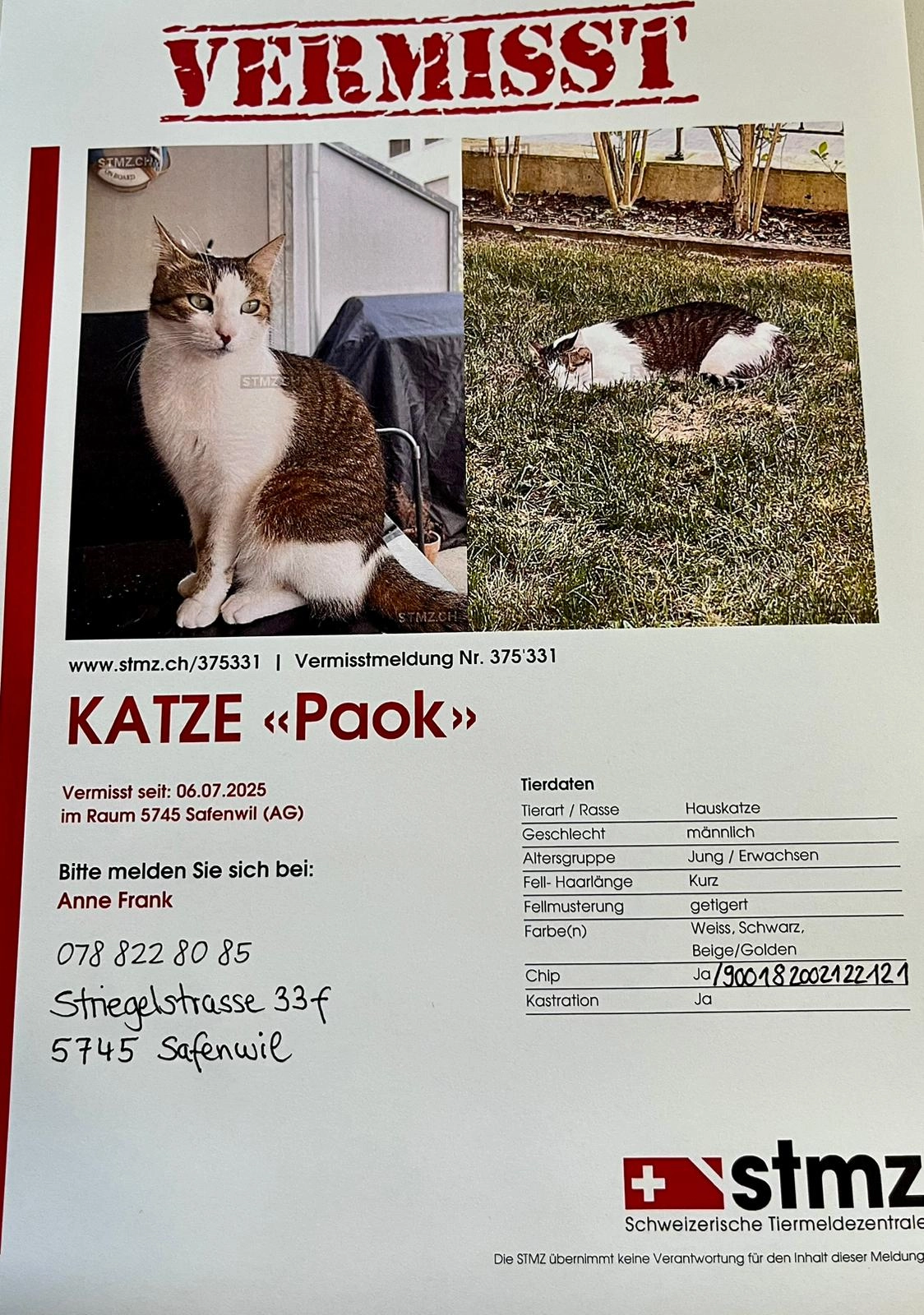 PAOK - Striegelstrasse, Safenwil