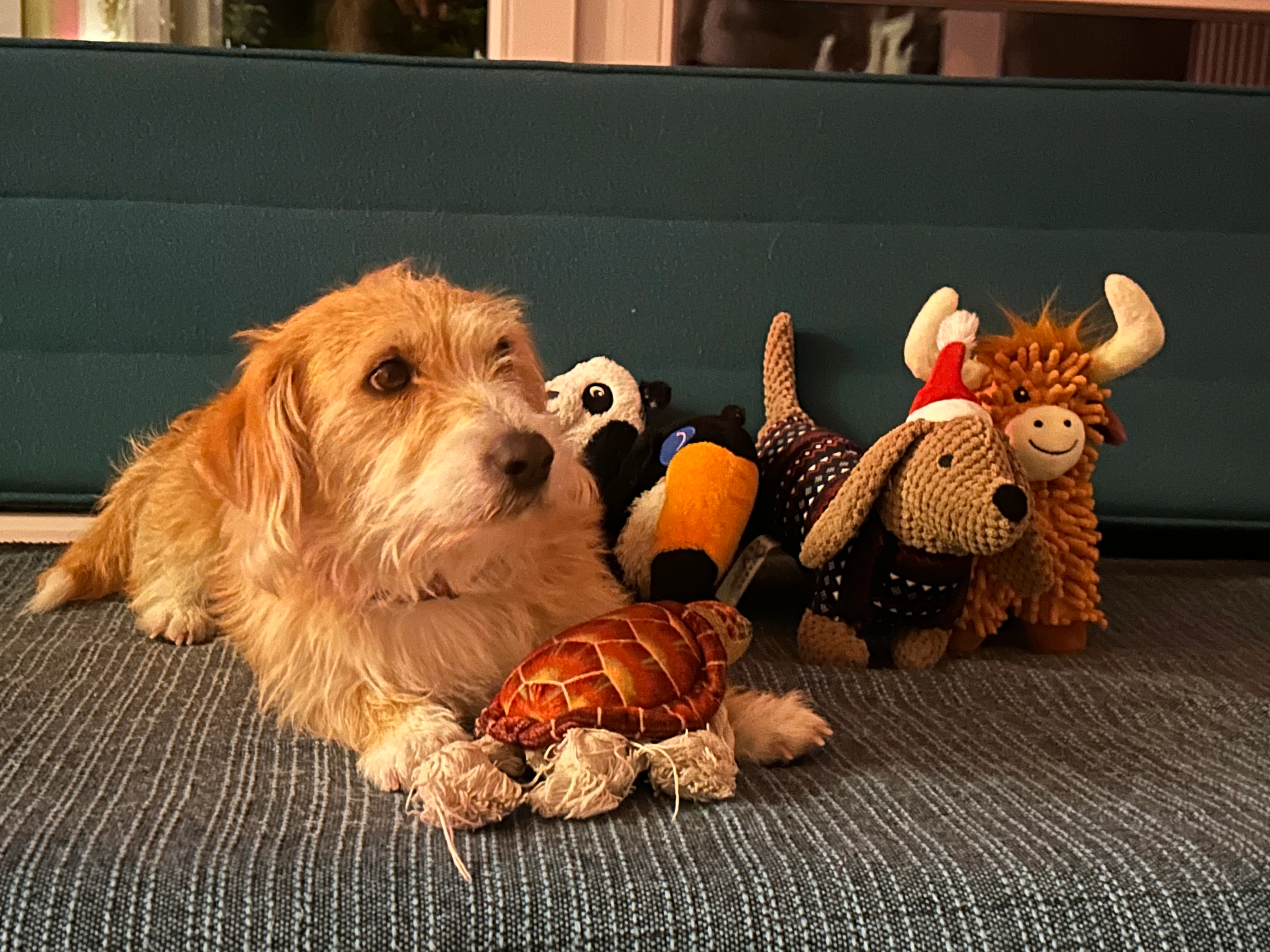 Tito - Leonhard-Heißwolf-Straße, Frankfurt am Main