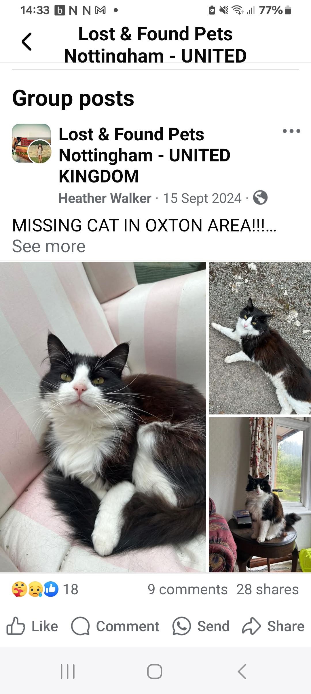 Terry - Oxton Road, Southwell