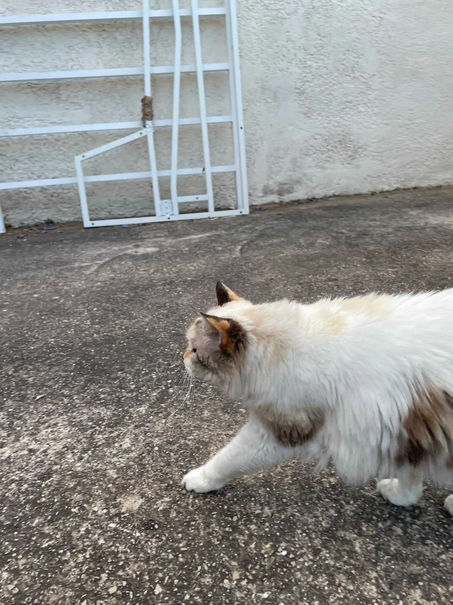 Cradoline - 5 Allée de la Margelle, Vitrolles