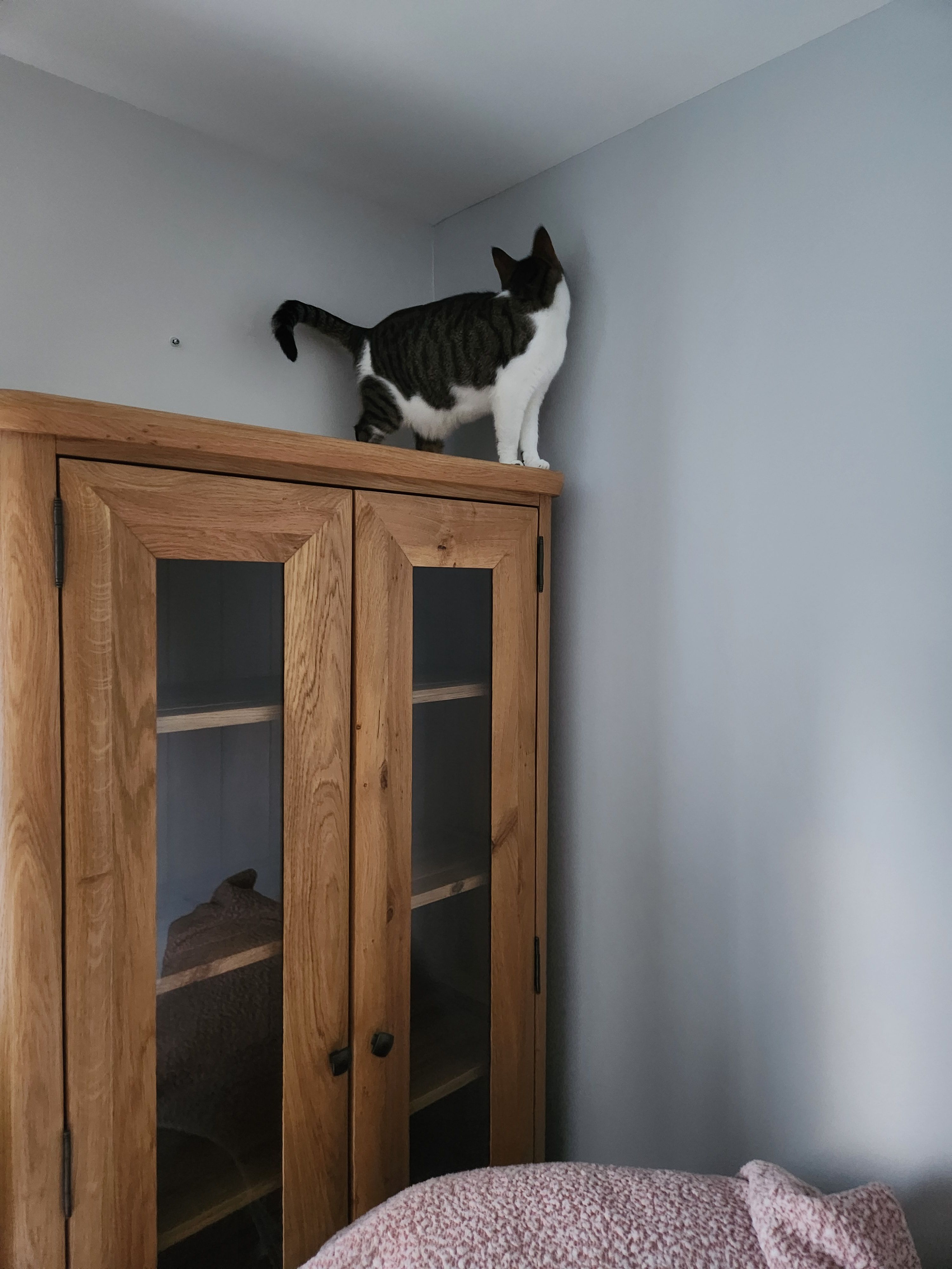 Tilley  - South Down Way, Warminster