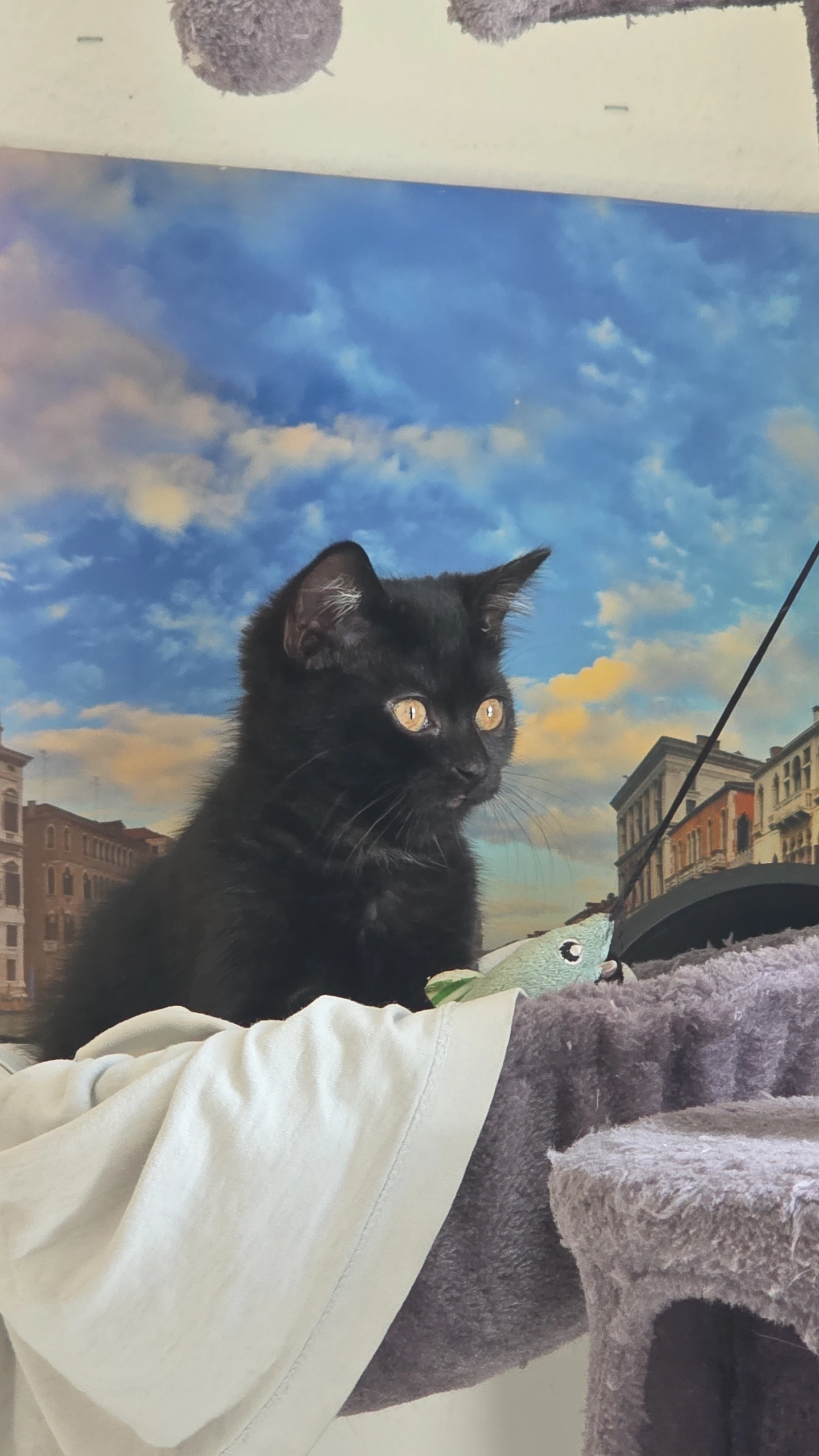 Salem - Langfeld, Kaltbrunn