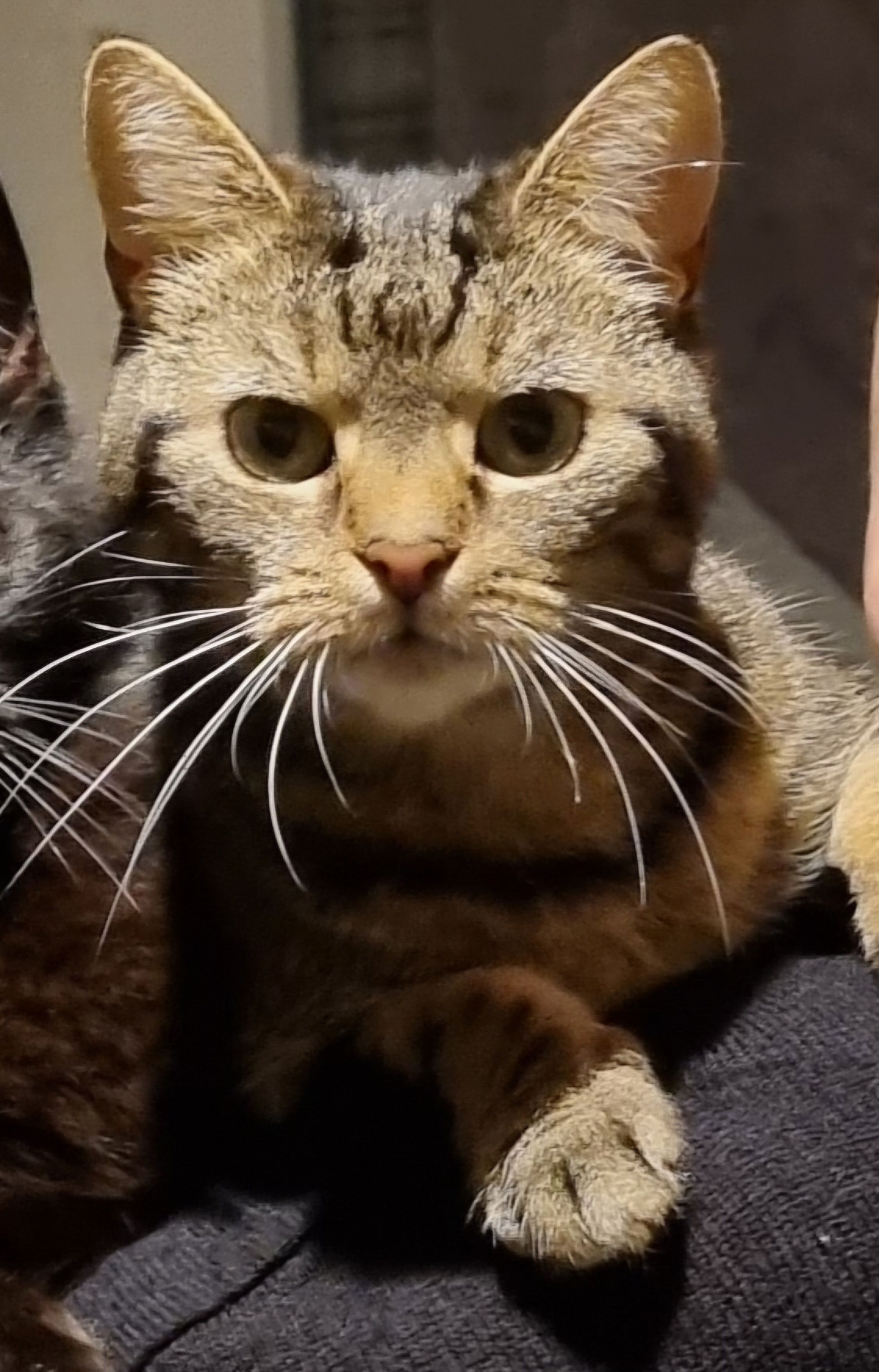 Sydney - Ziegelhütte, Wolframs-Eschenbach