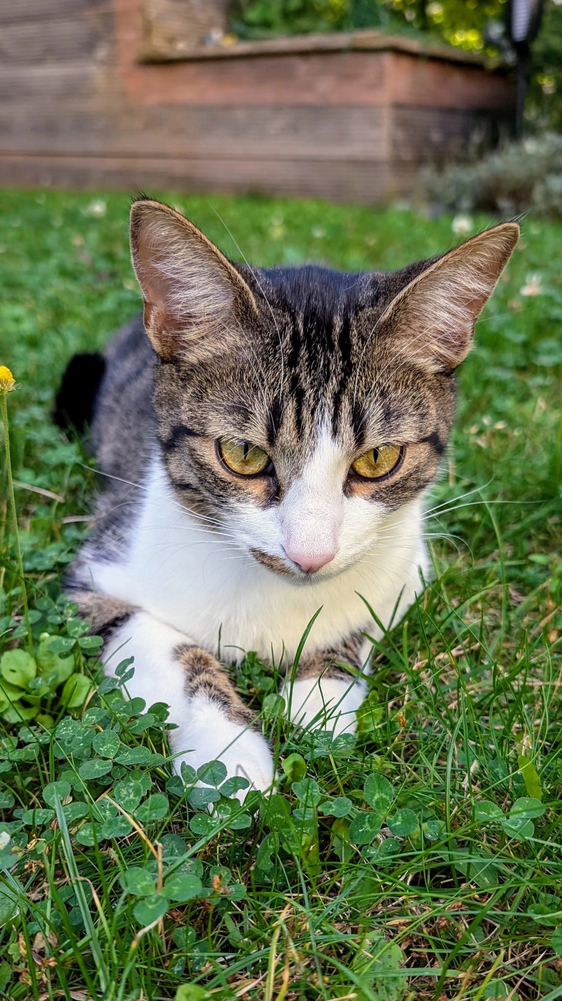 Bounty - Waldstraße, Karlsfeld