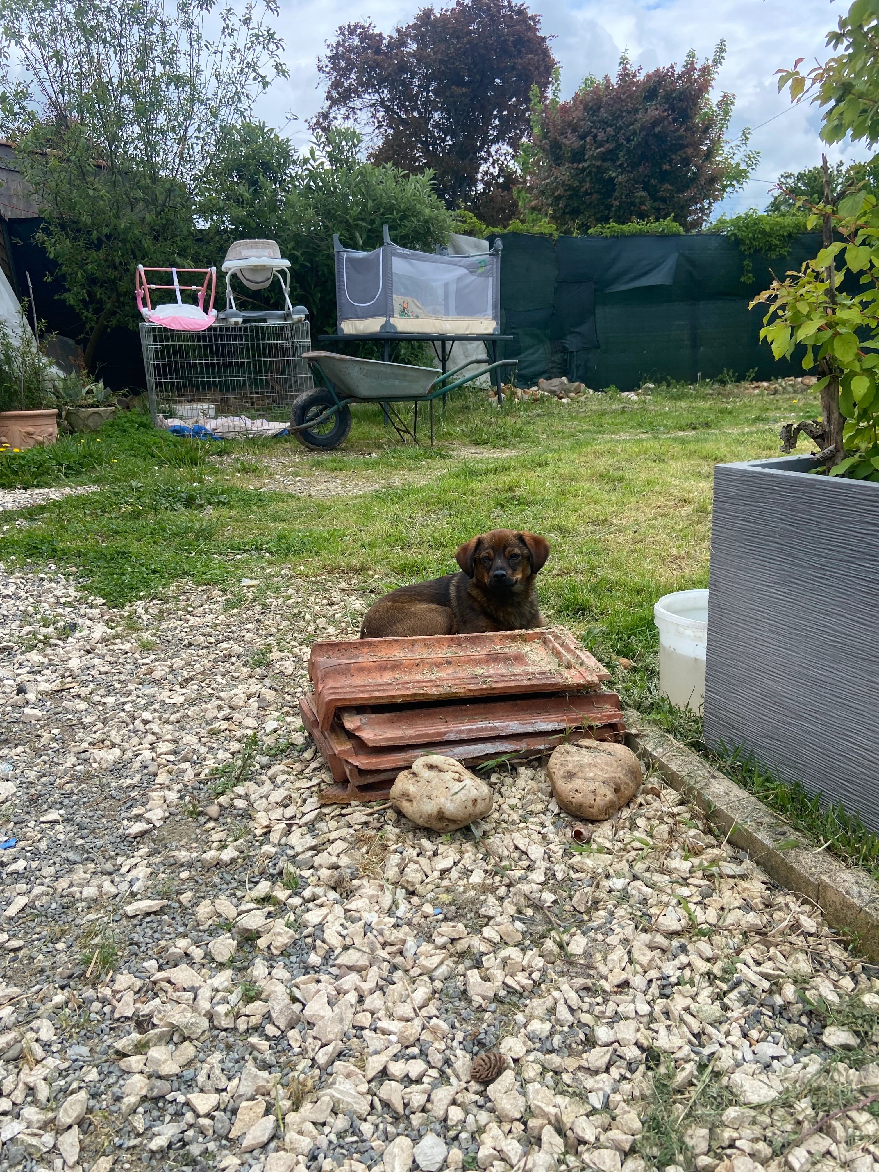 Fille fille ou mignonne  - Voie de Quicaud, Armillac