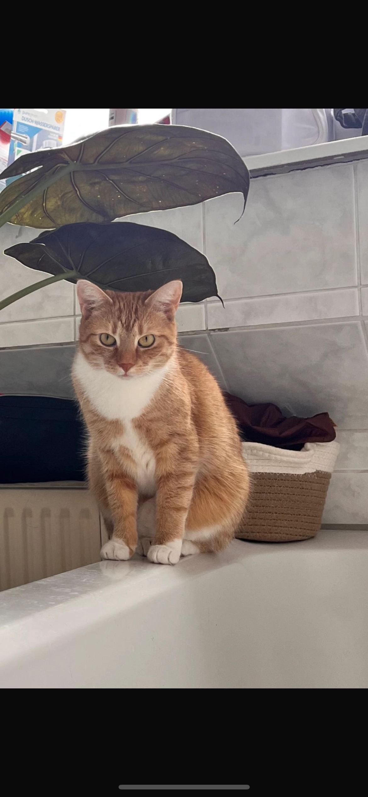 Yuki - Wurzner Straße 175, Leipzig