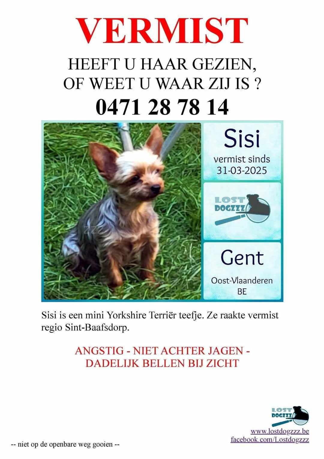 Sisi - Sint-Baafsdorp 31, Gent