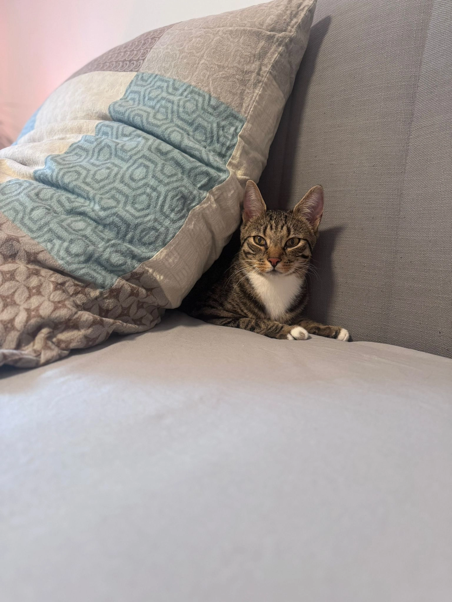 Cici milo - Moselstraße, Hüttenberg