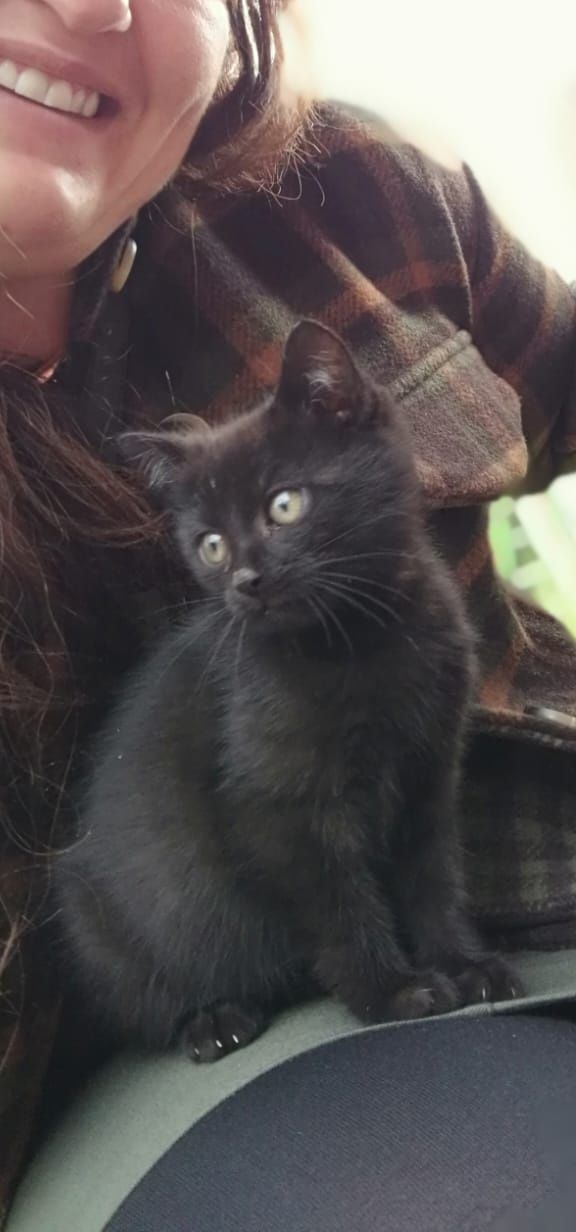 Nerino - Meckenhausen A, Hilpoltstein