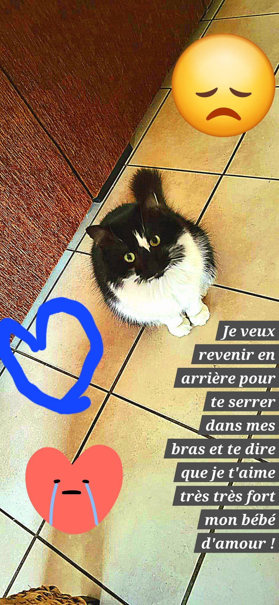 Noopy - 15 Côte de Ravat, Sarlat-la-Canéda