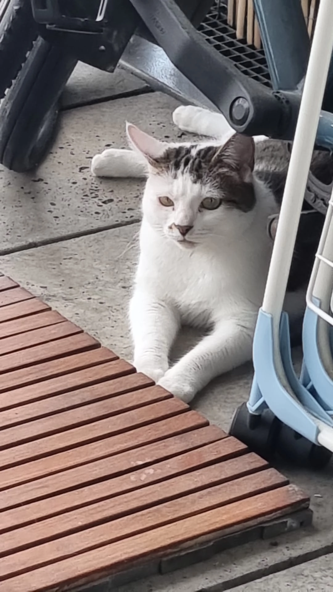 Trompette  - 59 Rue du Faubourg du Temple, Paris