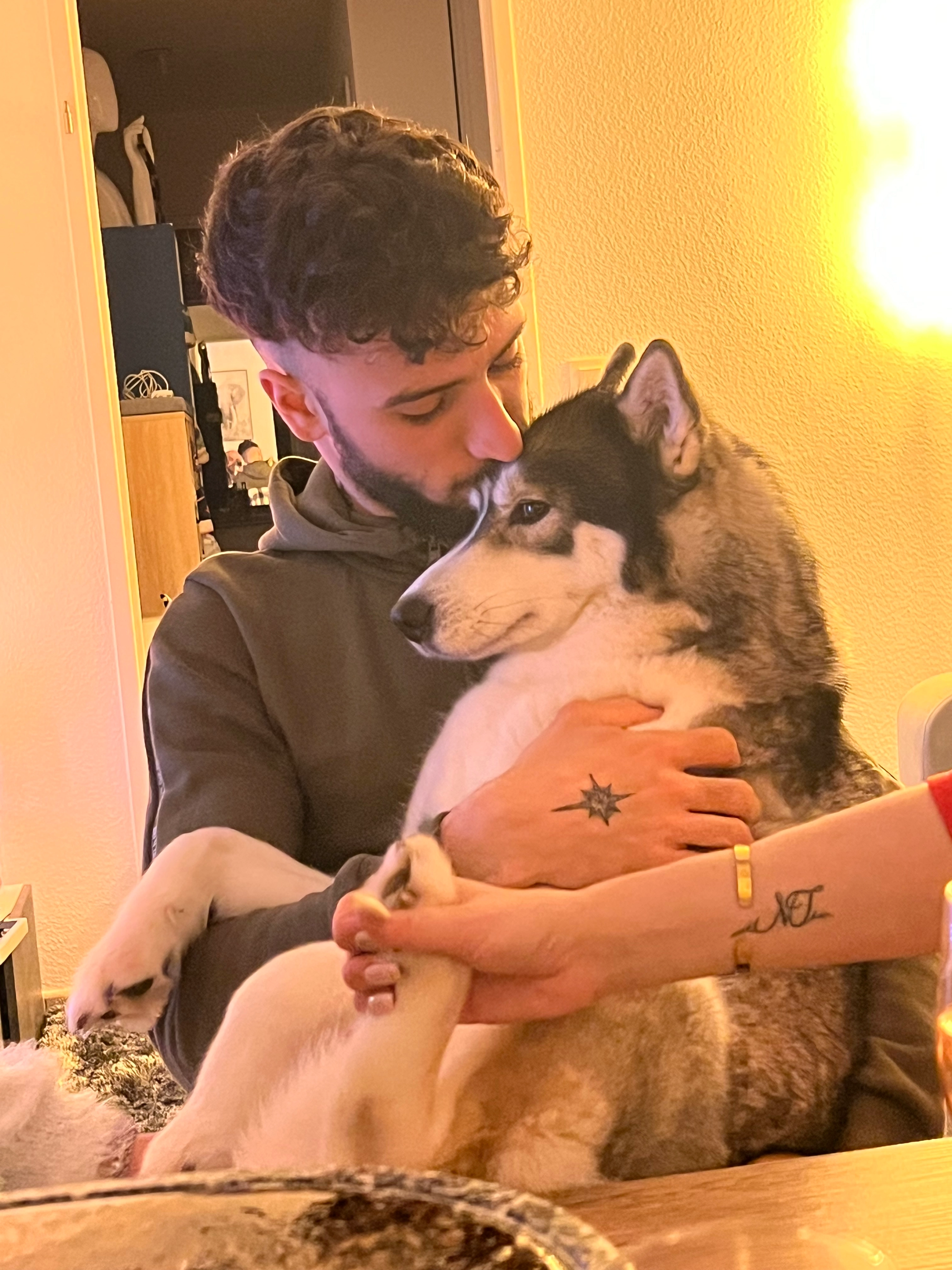 Pandore  - Impasse Du Bourdiley, Hourtin