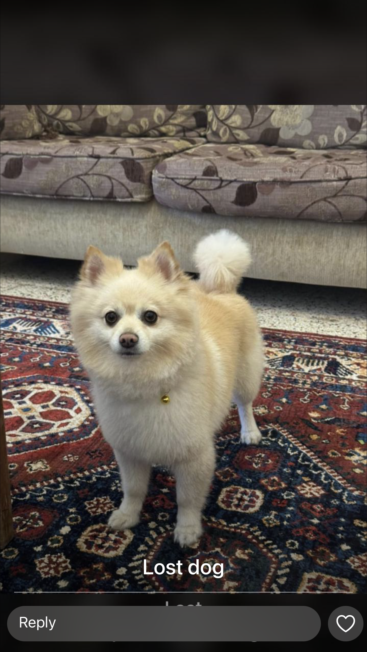 Leo - Bmakkine, Aley