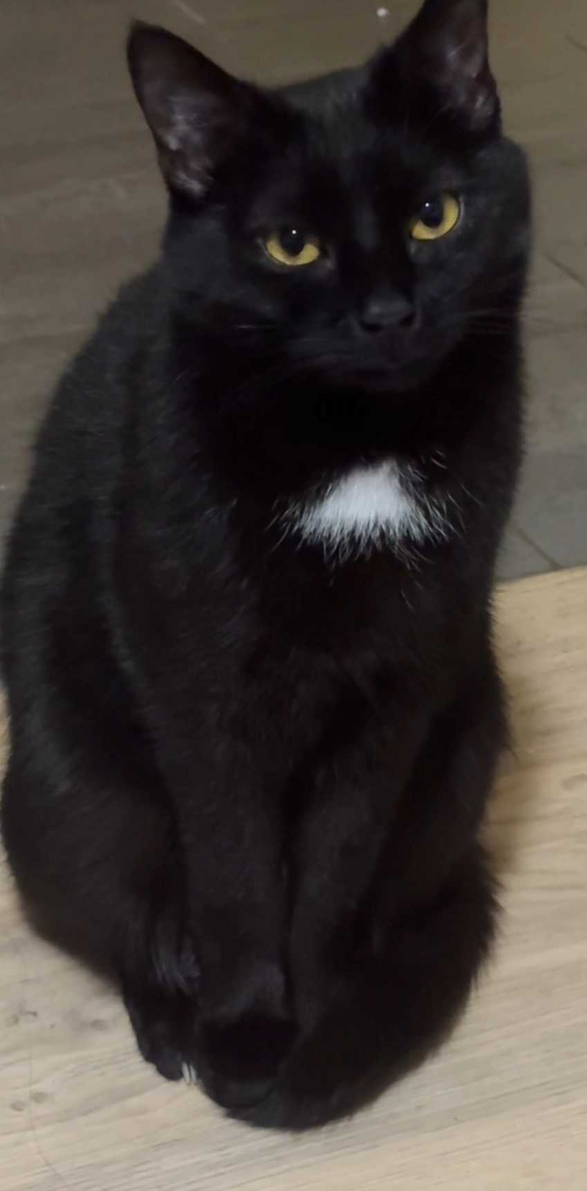 Felix - Priener Straße, Bernau am Chiemsee