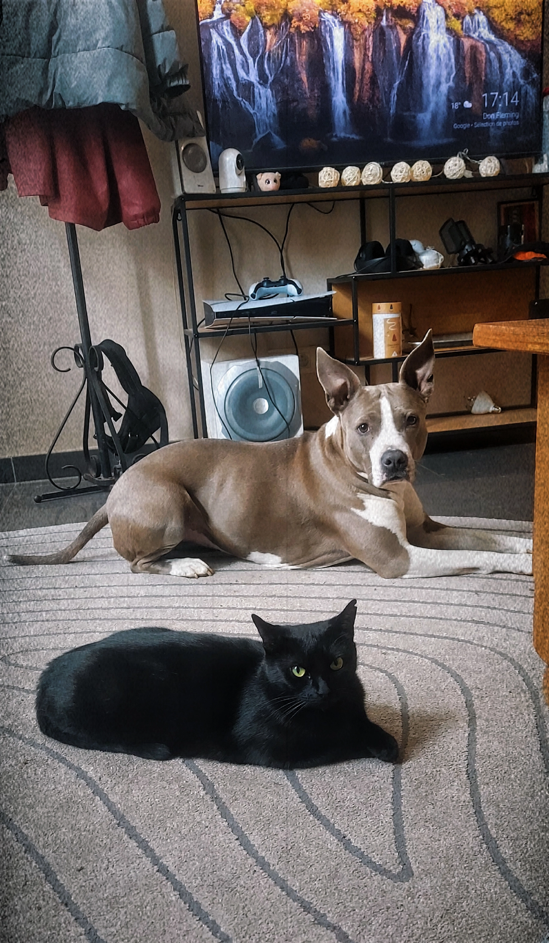 Ptit cul - Chemin Bodinet, Soignies