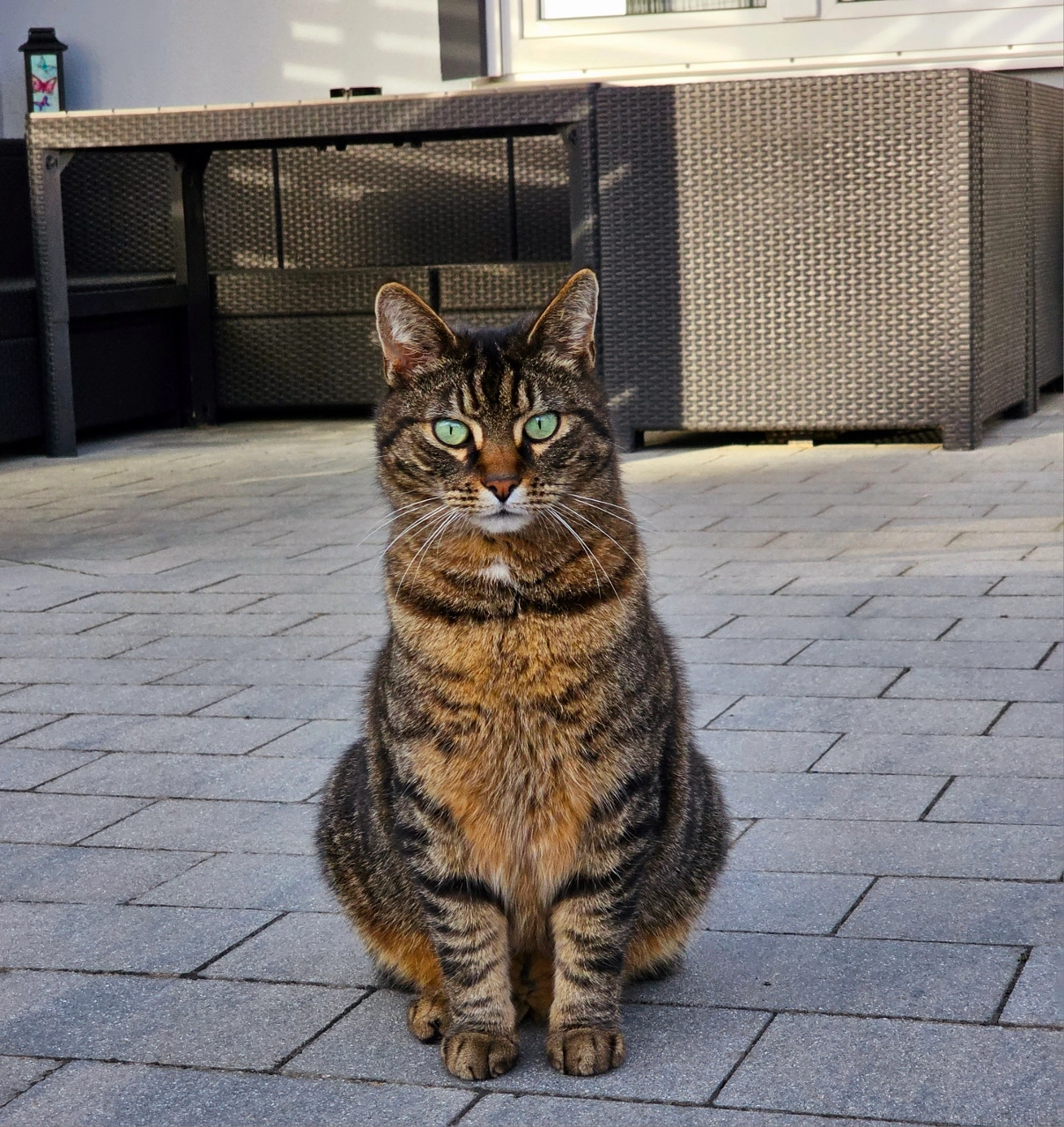 Mickey - Bachbügler Weg, Nittenau