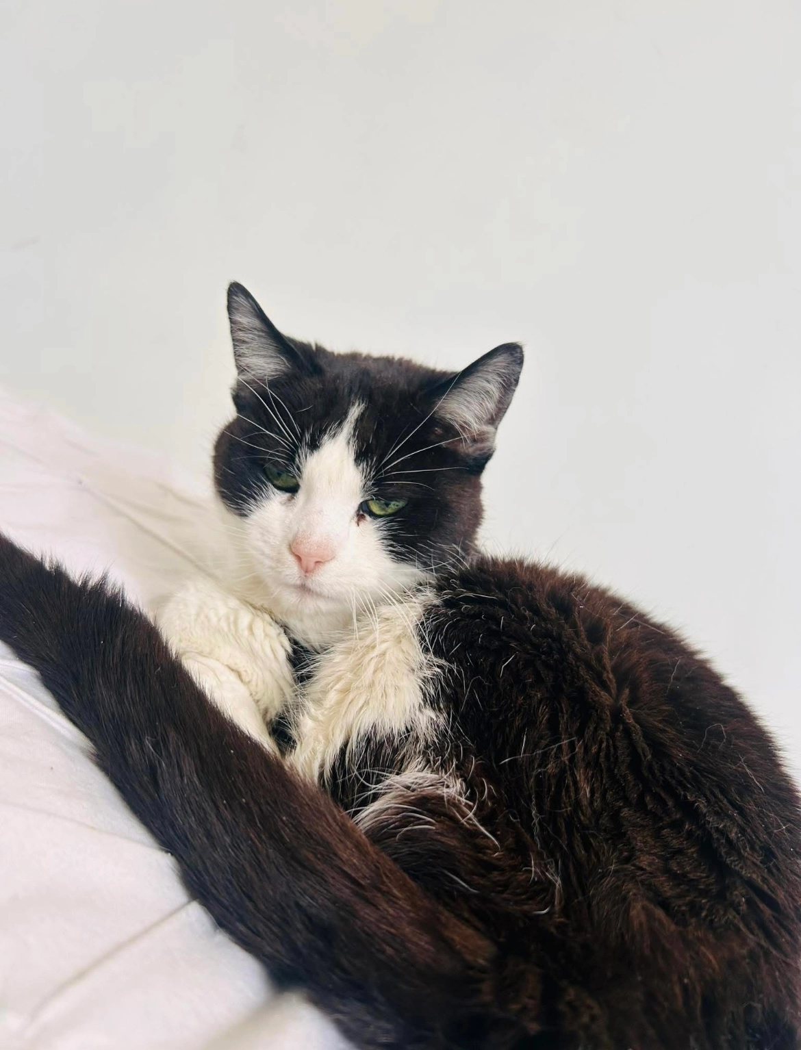 Celie - Litton Bank, Glossop