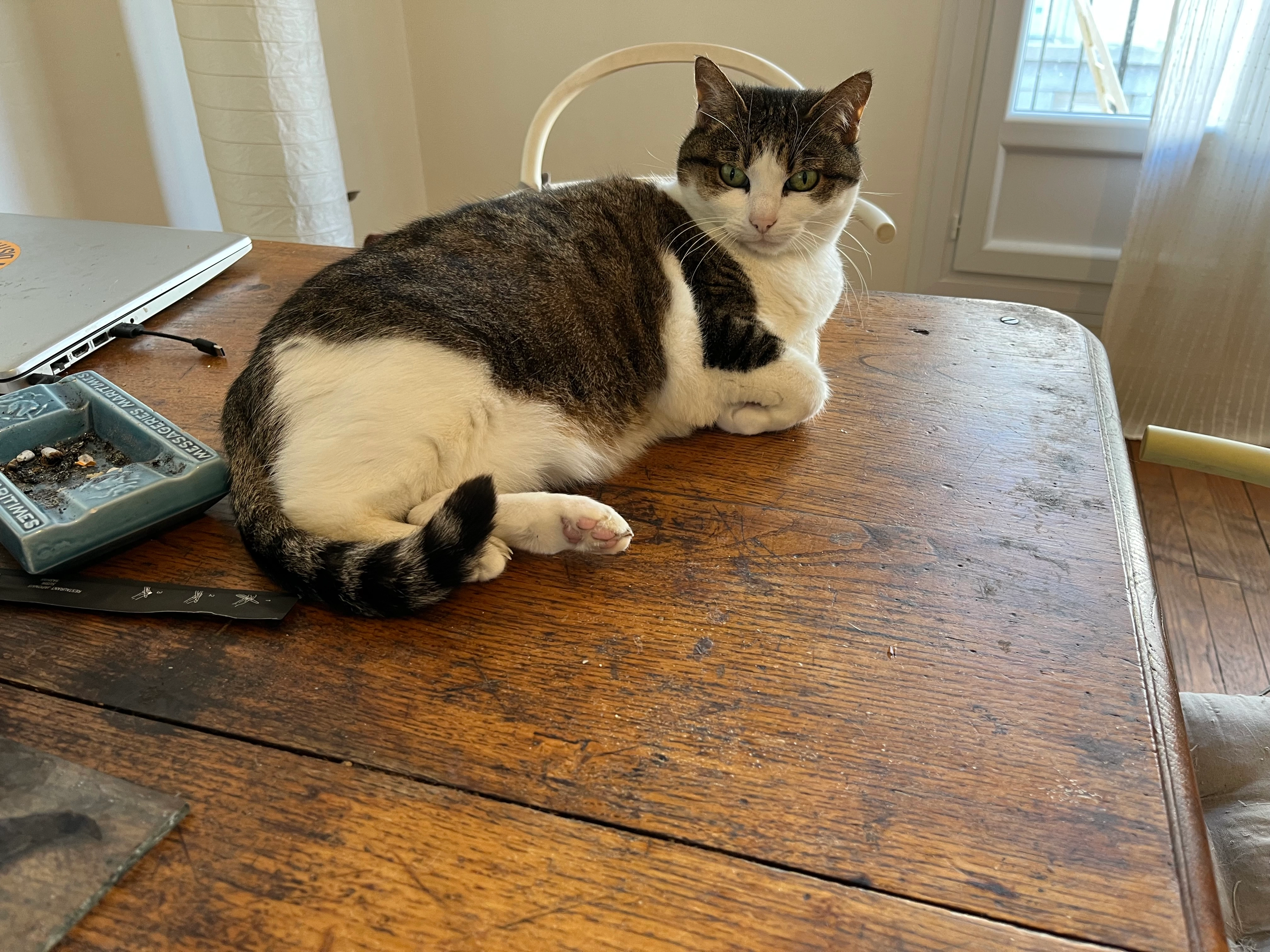 Firu - 10 Rue Jean Macé, Brest