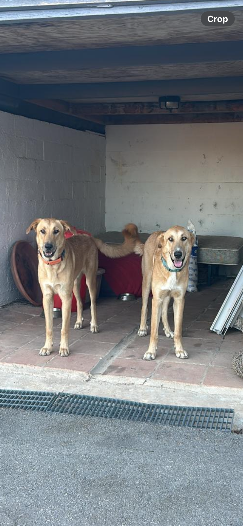 Pepe - Calle Ur17 Lauro Golf, Alhaurín de la Torre