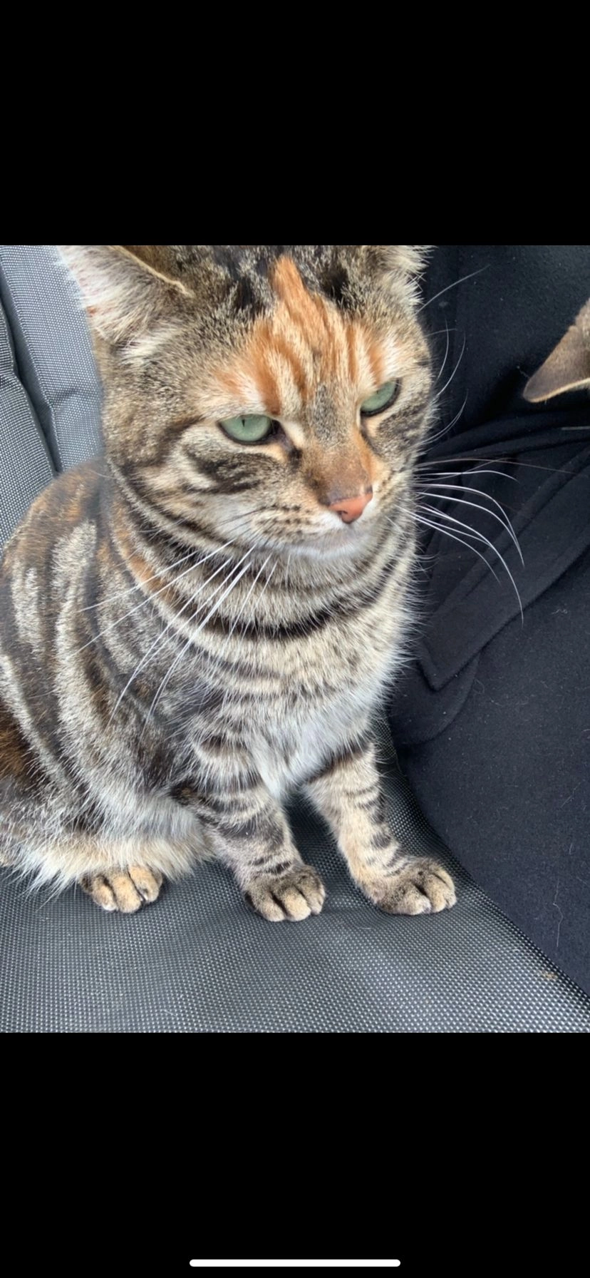 blues - Roskamstraat, Sint-Gillis-Waas