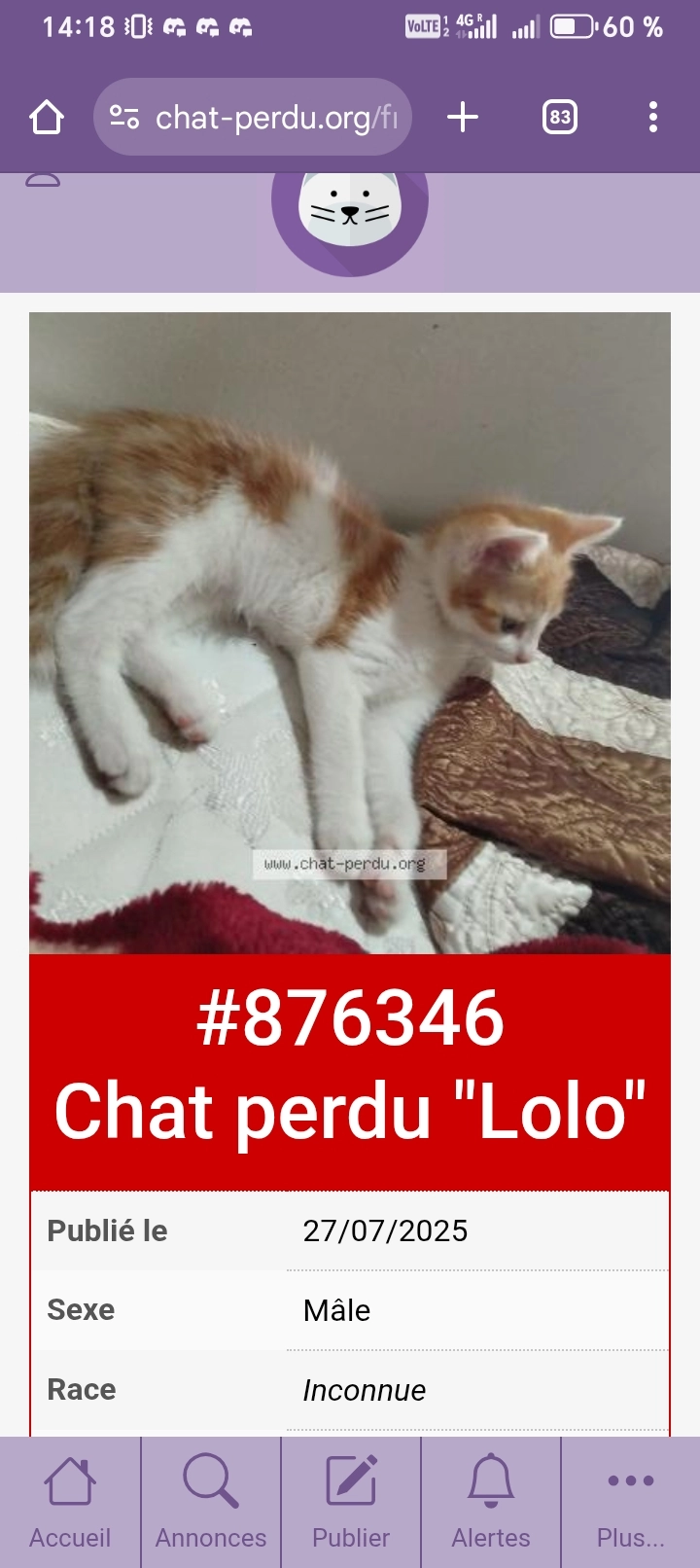 Lolo  - Rue du Chaudron 20, Anderlecht