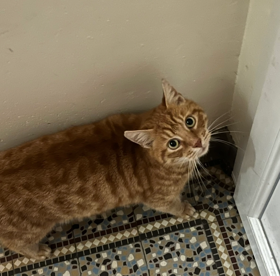 TAO - 30 Rue Jean Richepin, Le Havre